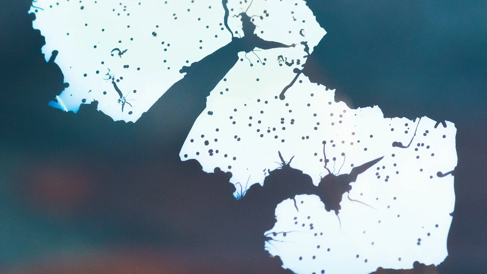 Shattered Island