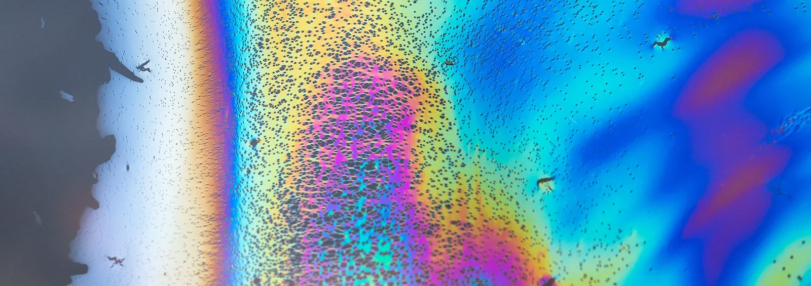 Rainbow Panorama