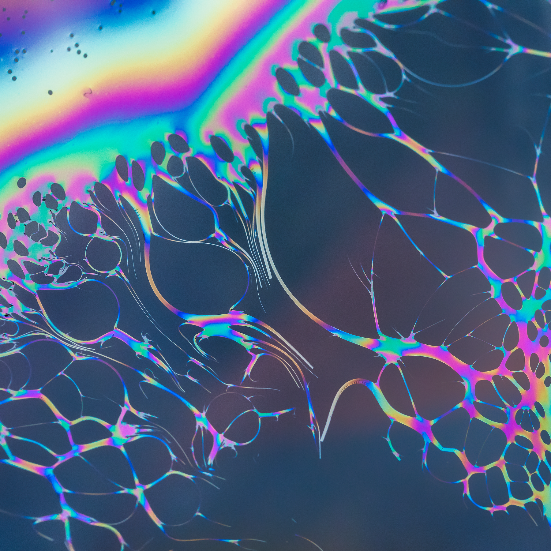 Magic Synapses
