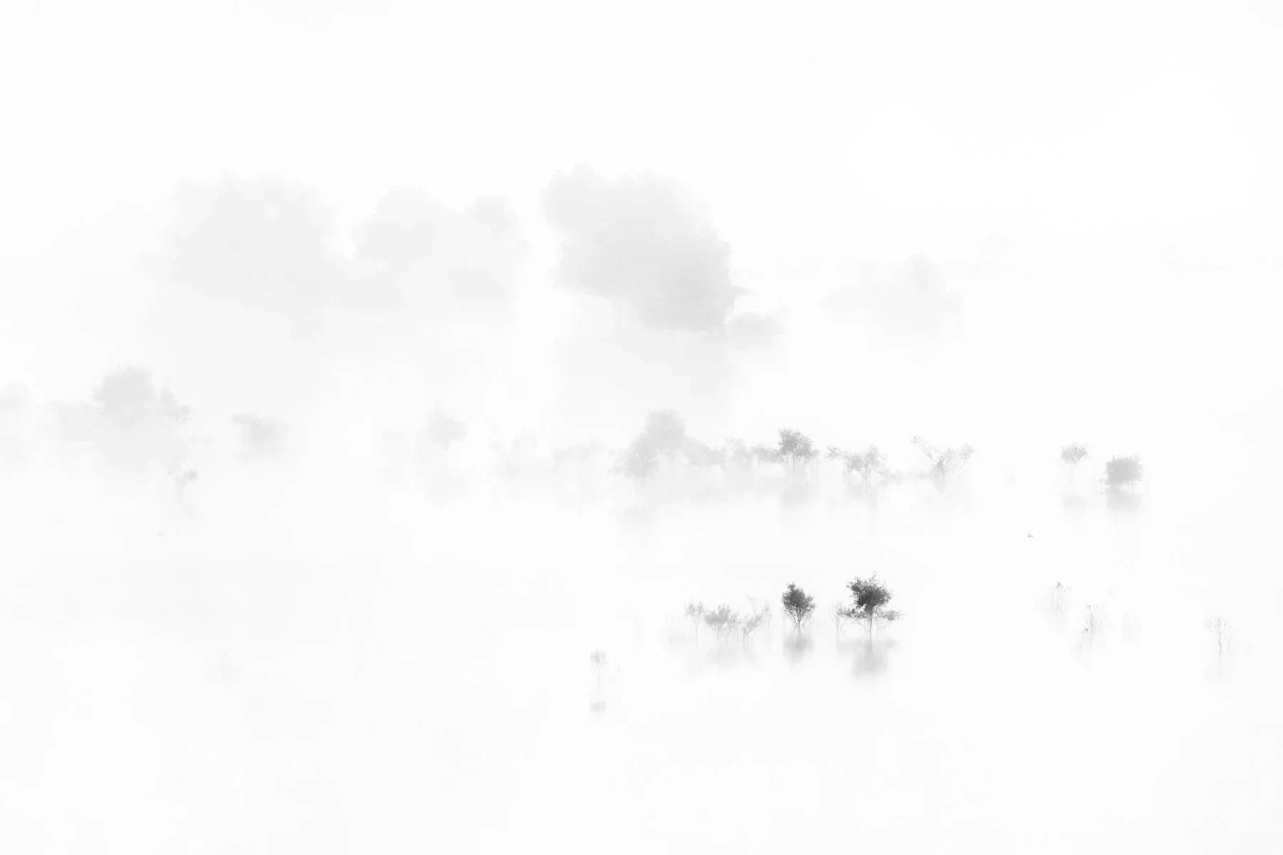 Ghosts