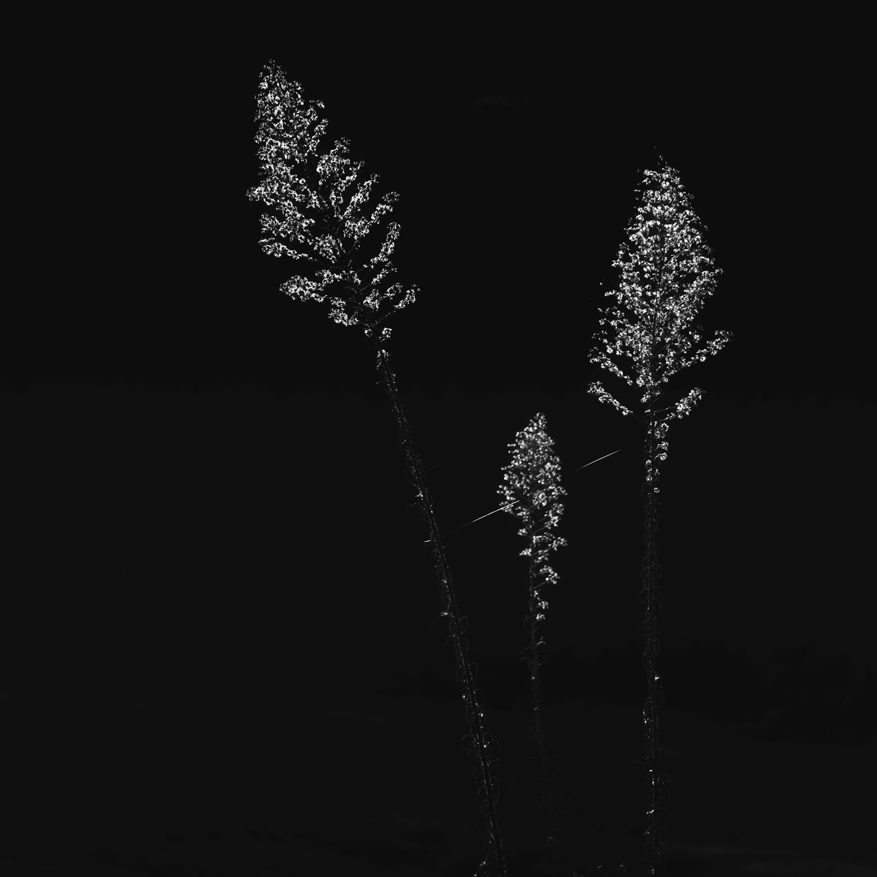 Interconnected