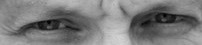 Boo. My scary eyes are watching you. Unless you're boring, then they are watching your more interesting friends.