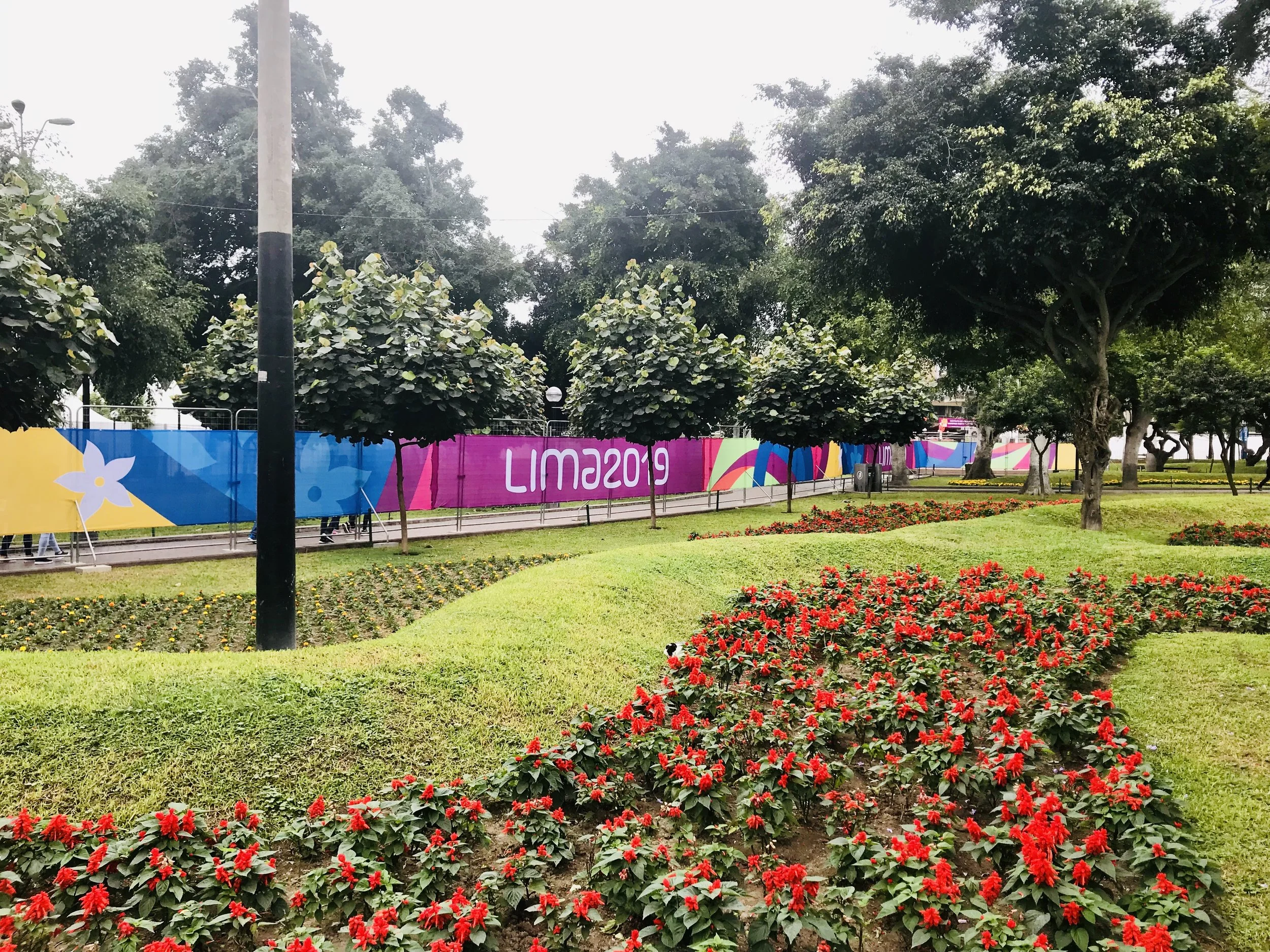 Lima 2019_Parque Kennedy_View 2.JPEG
