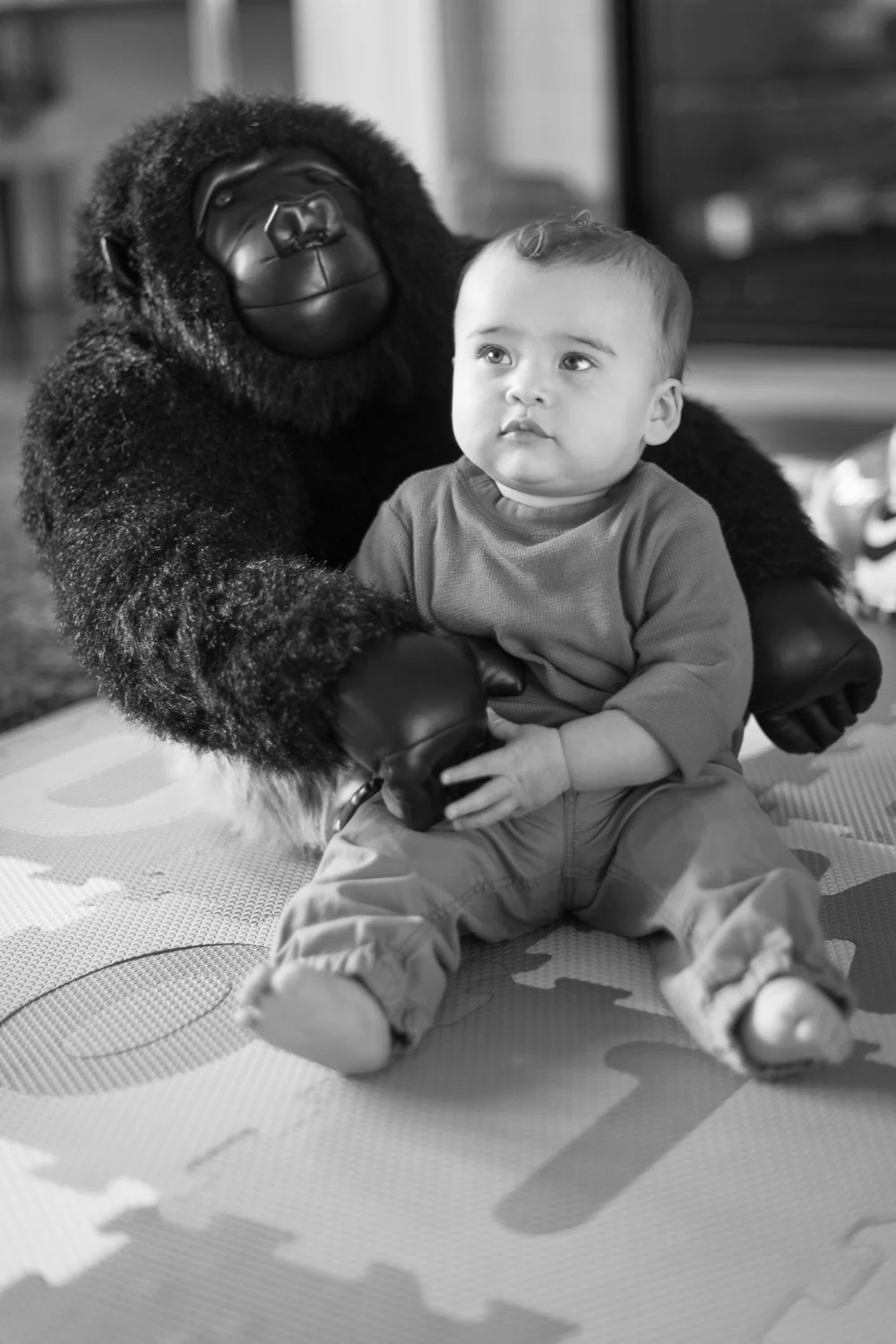 Family Portraits // Ashley Petersen Photography