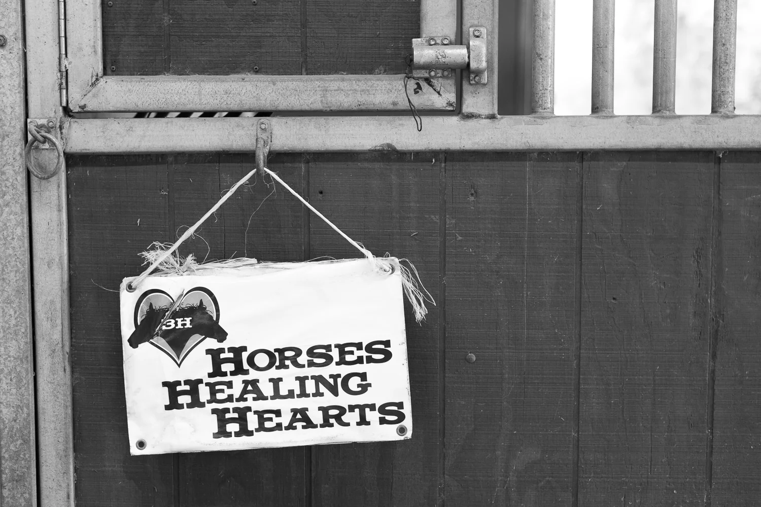 Horses Healing Hearts // Ashley Petersen Photography