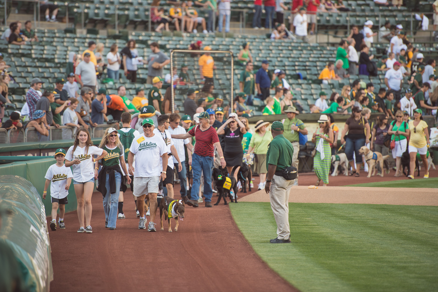 Dogs4Diabetes leads the parade // A's Dog Day at the Park // Ashley Petersen Photography