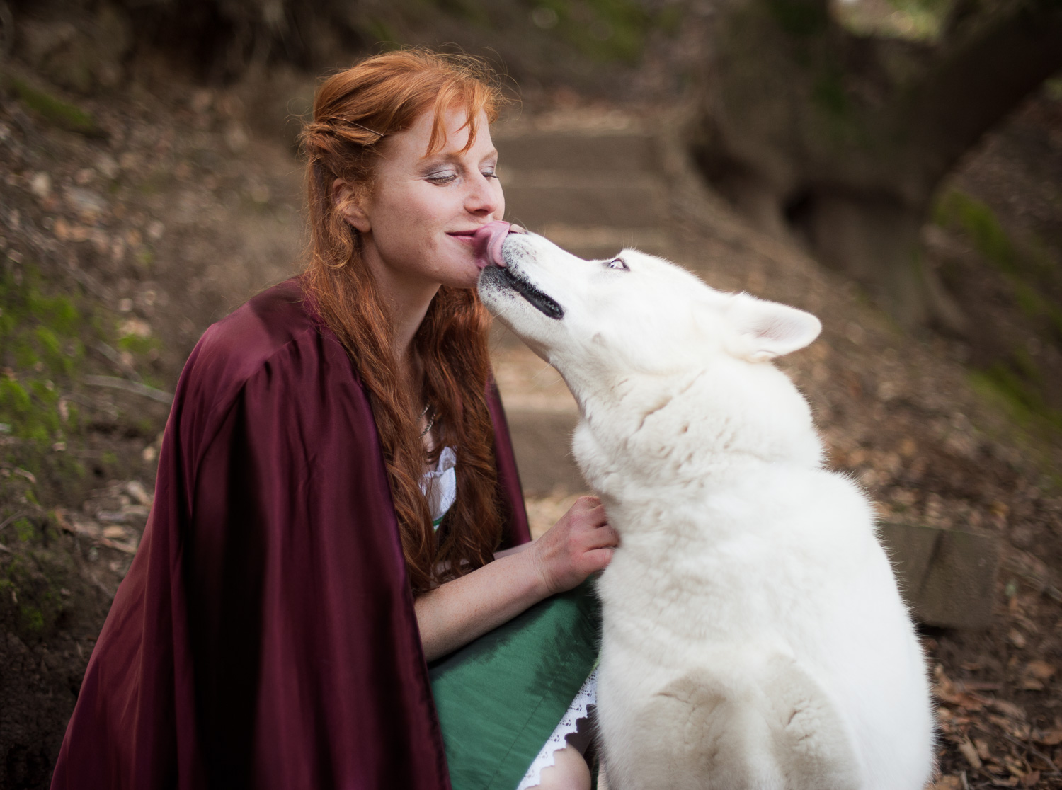Red riding hood and the wolf // Conceptual Portraiture // Ashley Petersen Photo