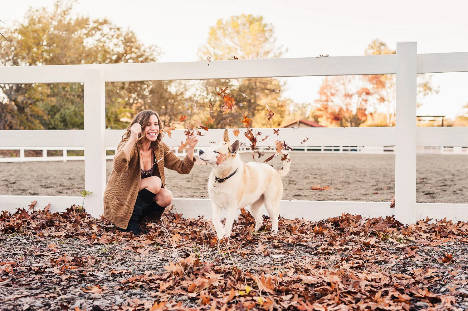 Fall Lifestyle // Ashley Petersen Photo