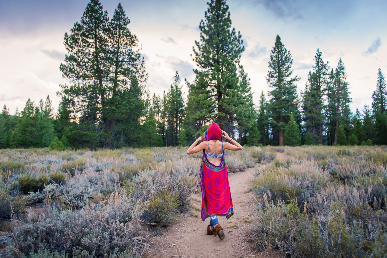 Yogi in Tahoe // Ashley Petersen Photo