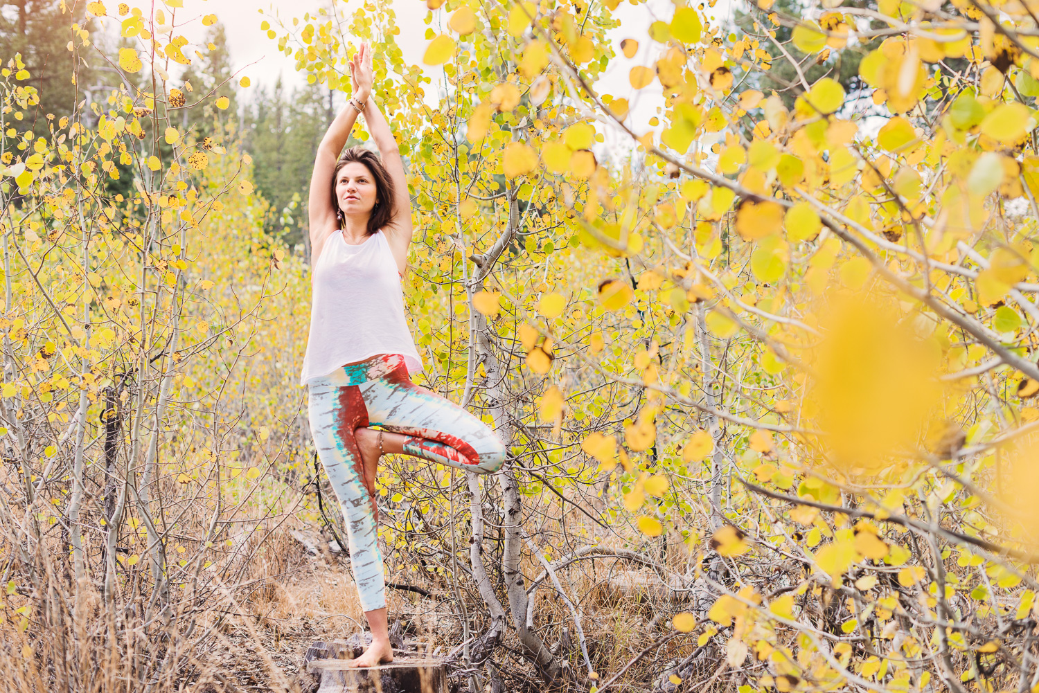 Yogi Ashley Dien in Truckee Fall Leaves // Tree Pose // Ashley Petersen Photo