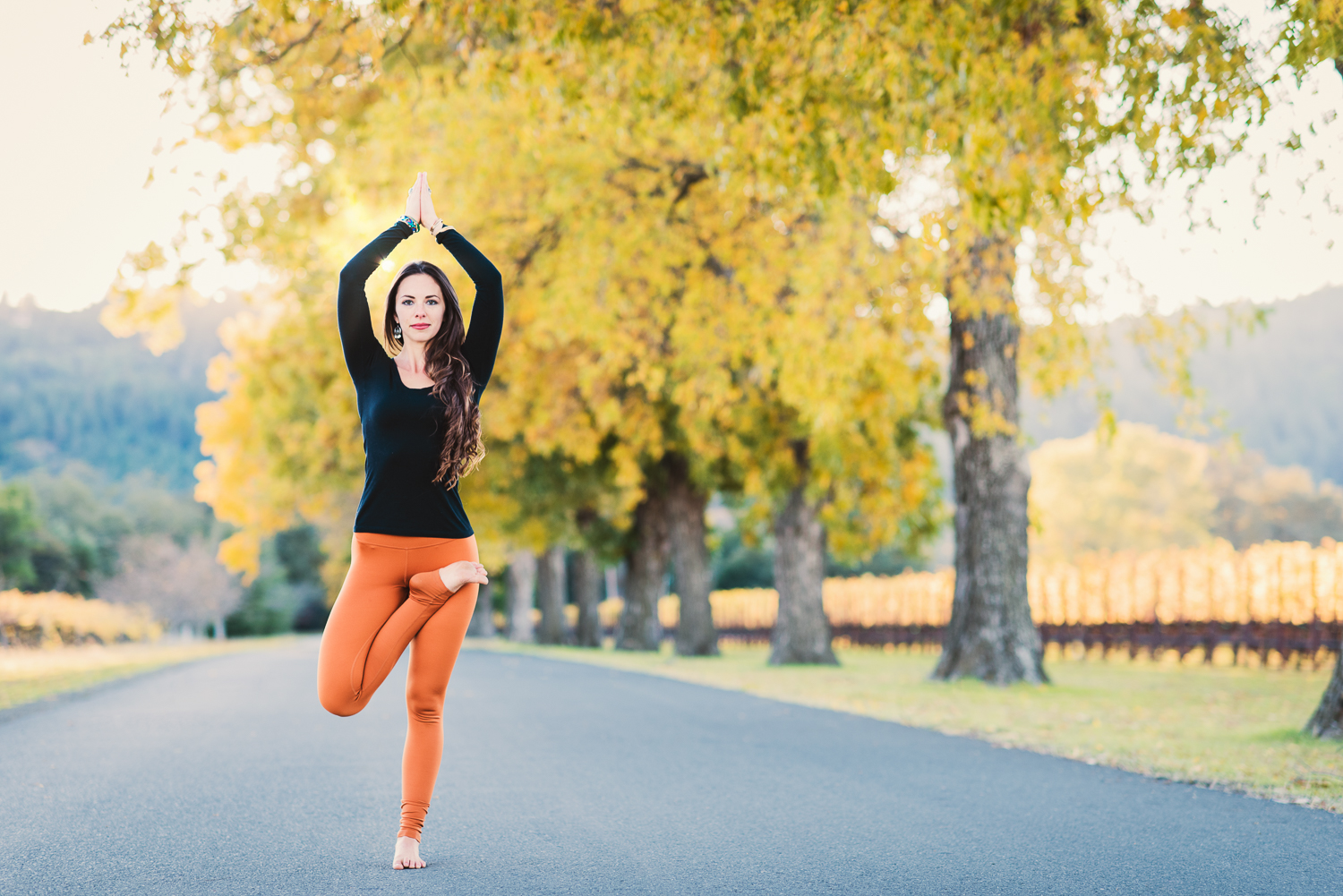 Half Lotus Tree Pose // Napa in the Fall // Ashley Petersen Photo