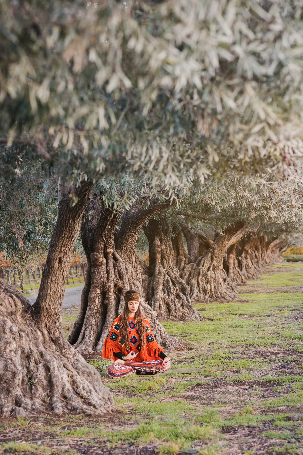 Yoga in Napa // Half Lotus Pose // Ashley Petersen Photo
