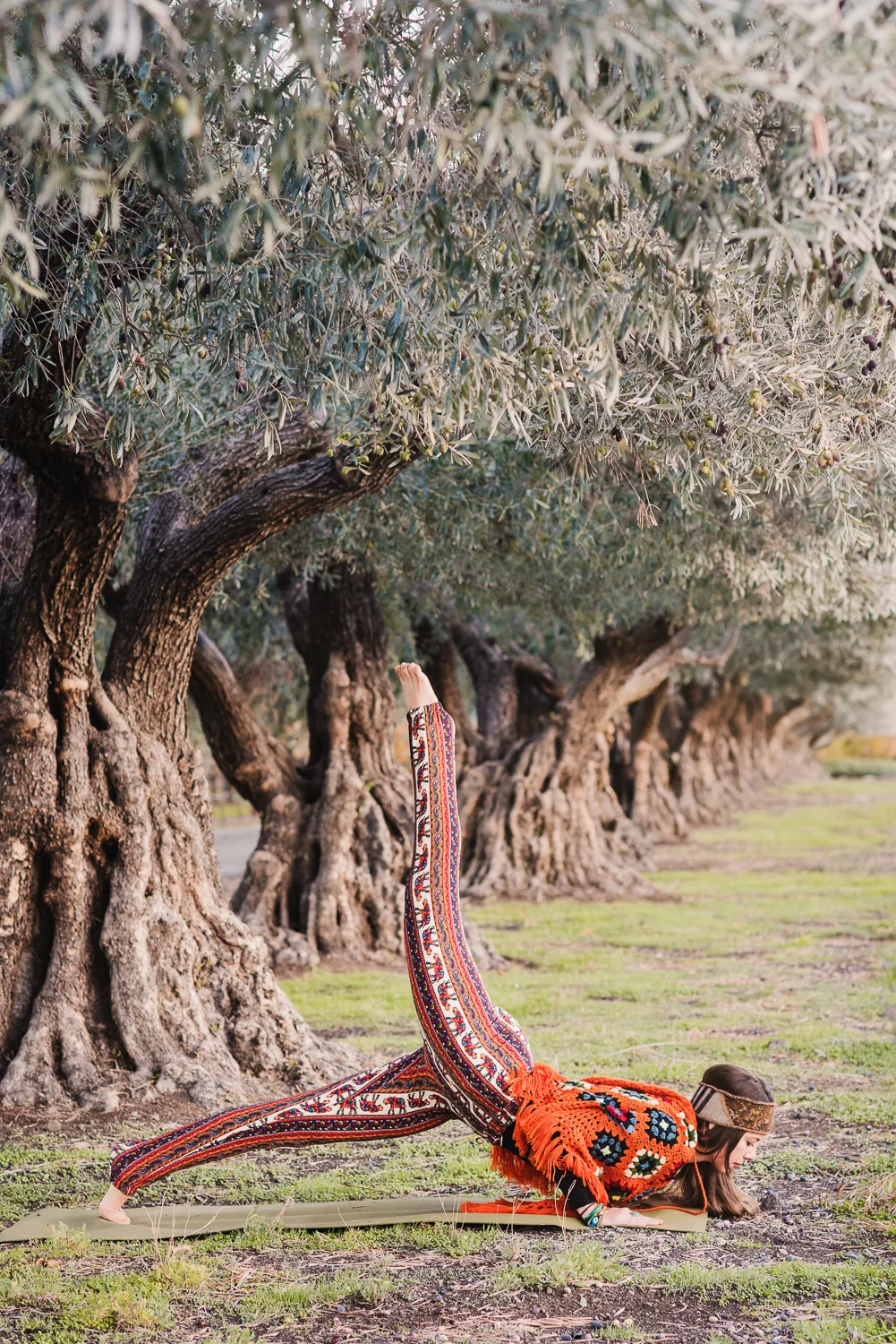 Yoga in Napa // One legged Chatarunga // Ashley Petersen Photo