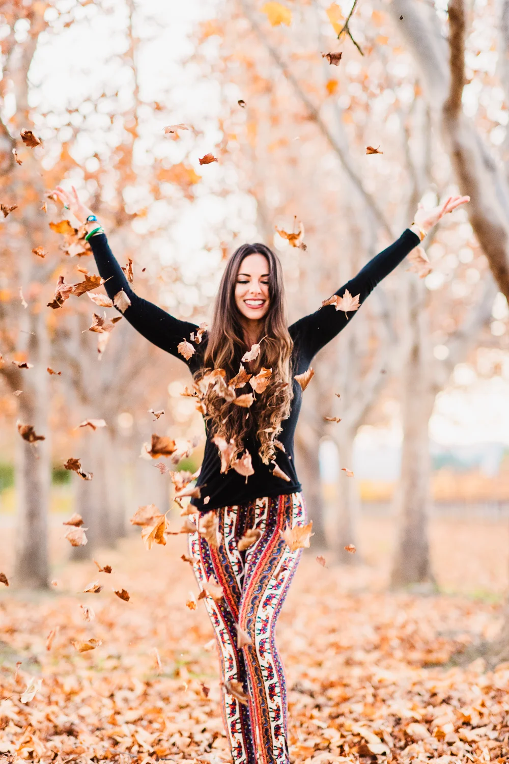 Napa in the fall // Ashley Petersen Photo