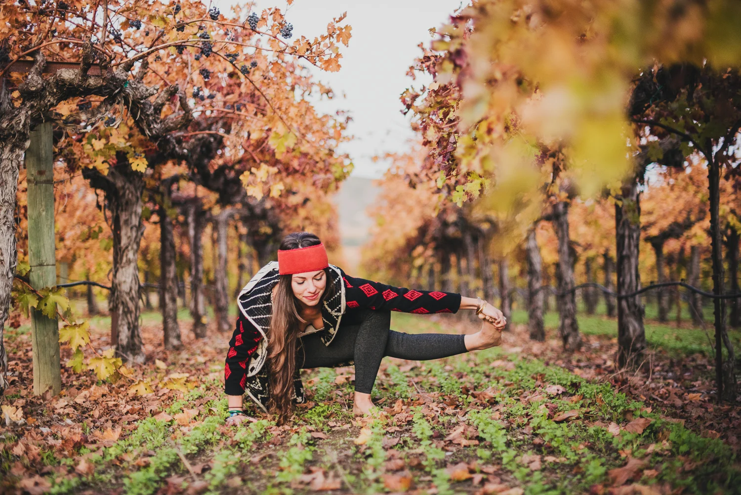 Yoga in Napa in the fall // Baby Grasshopper Pose // Ashley Petersen Photo