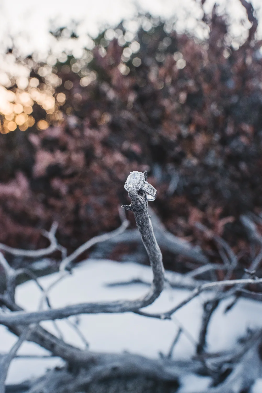 Lake Tahoe Engagement // Ashley Petersen Photo