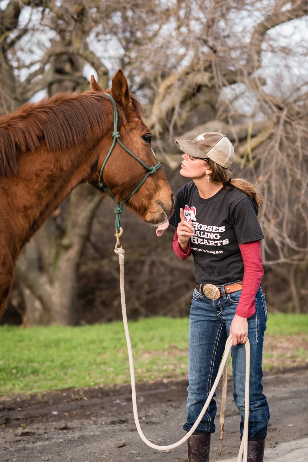 Spirit up for adoption at Horses Healing Hearts // Ashley Petersen Photo