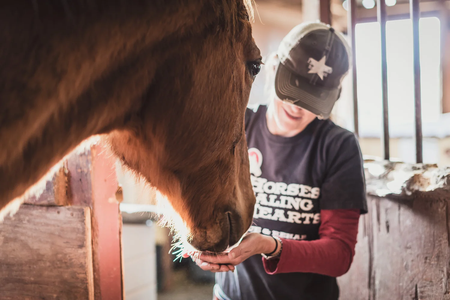 Spirit at Horses Healing Hearts // Ashley Petersen Photo