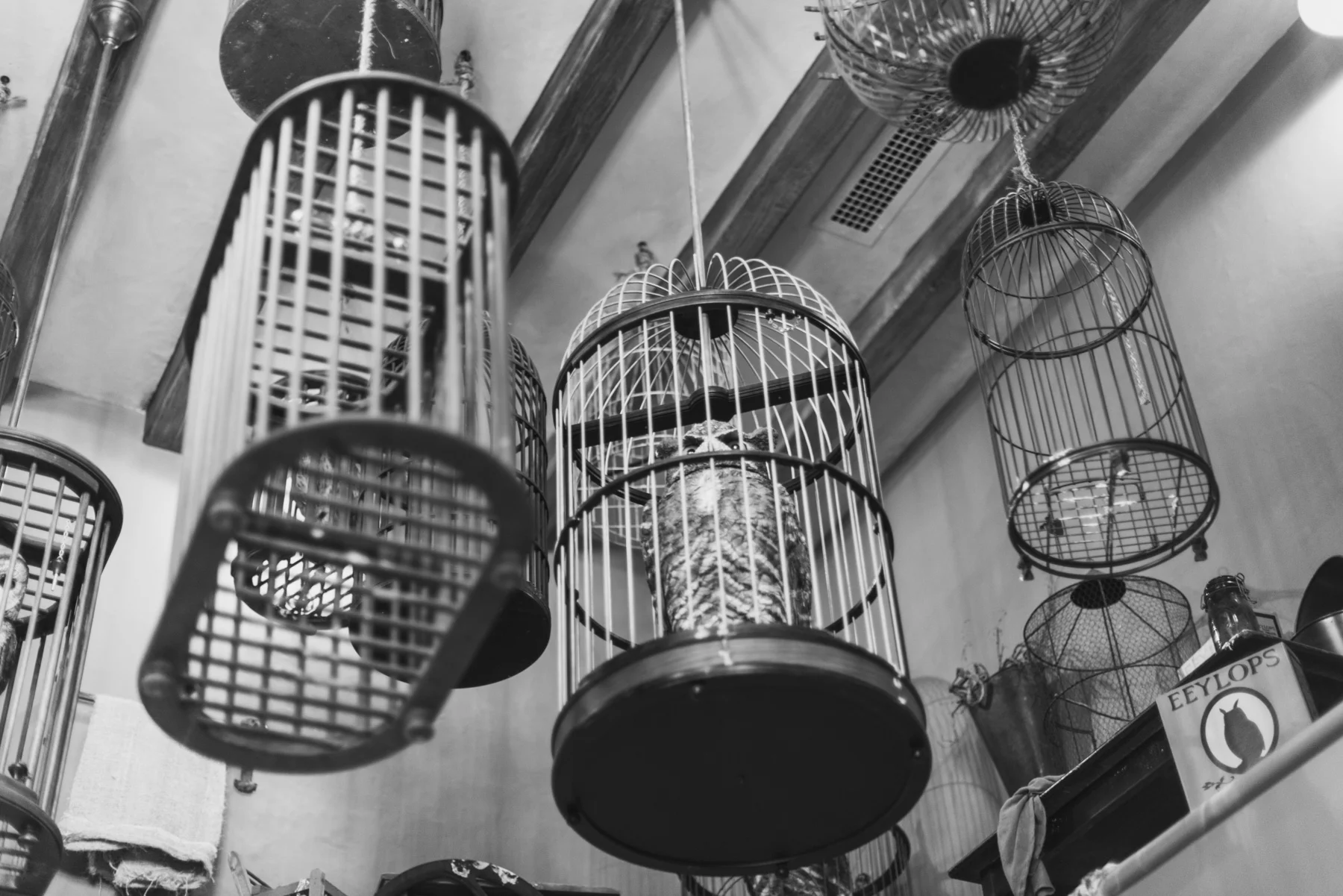 The Owlery at the Wizarding World of Harry Potter