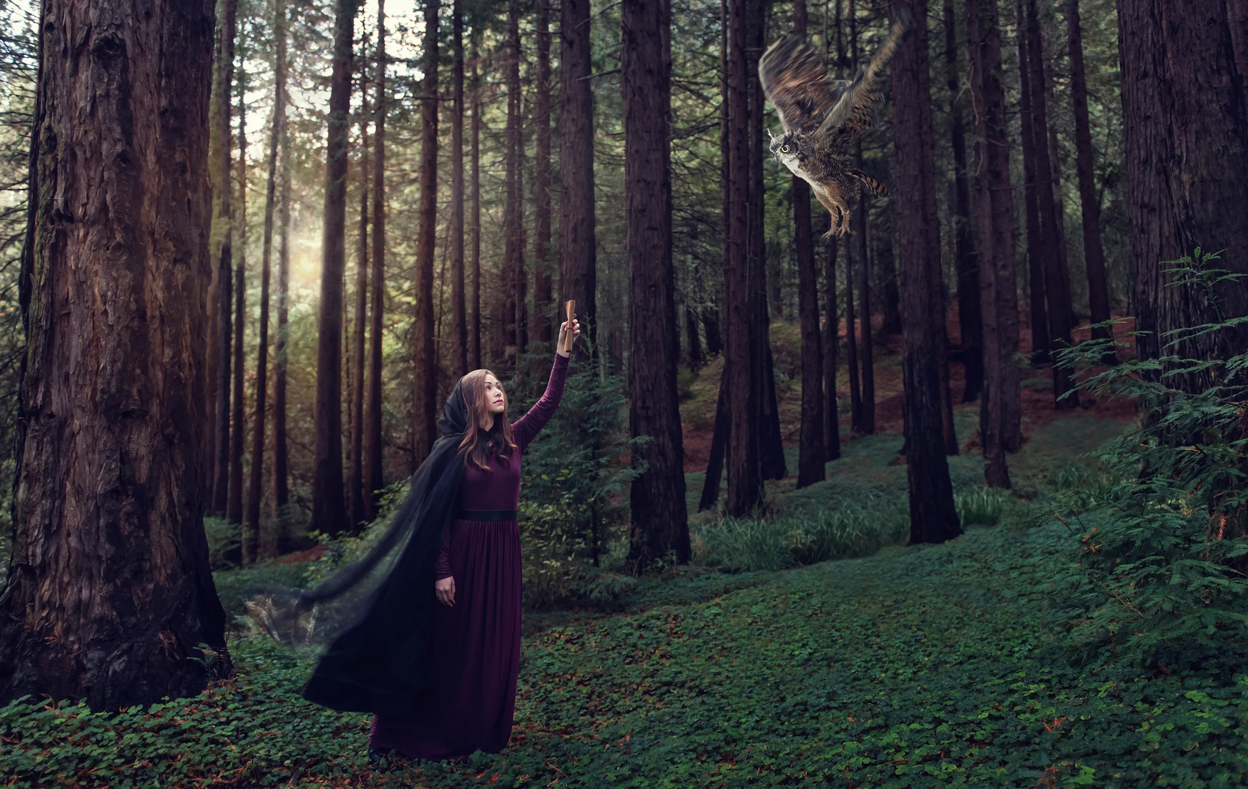 Bubo the rescued owl // Rescue Tales // Ashley Petersen Photography