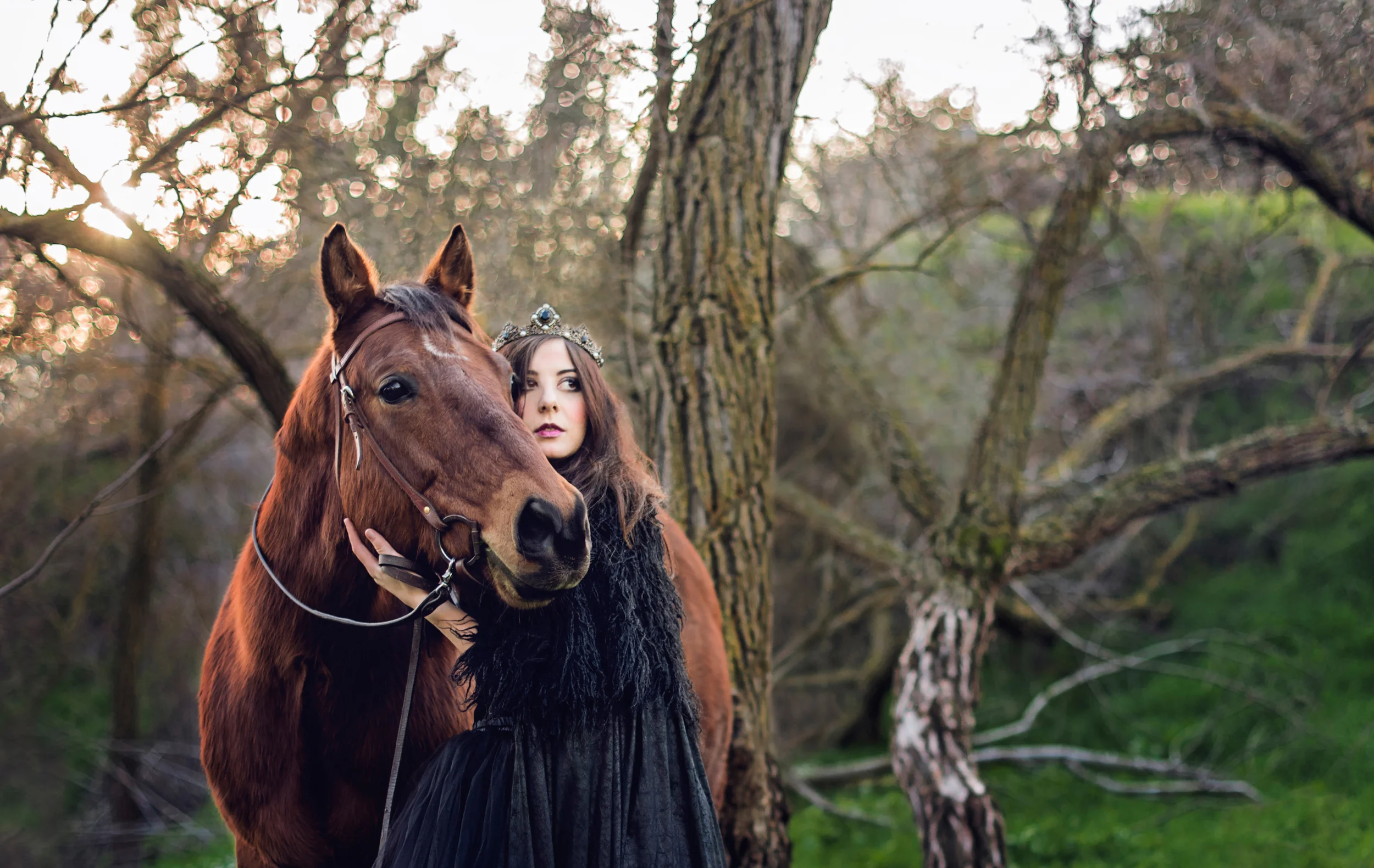 Louie the rescued horse // Rescue Tales // Ashley Petersen Photography