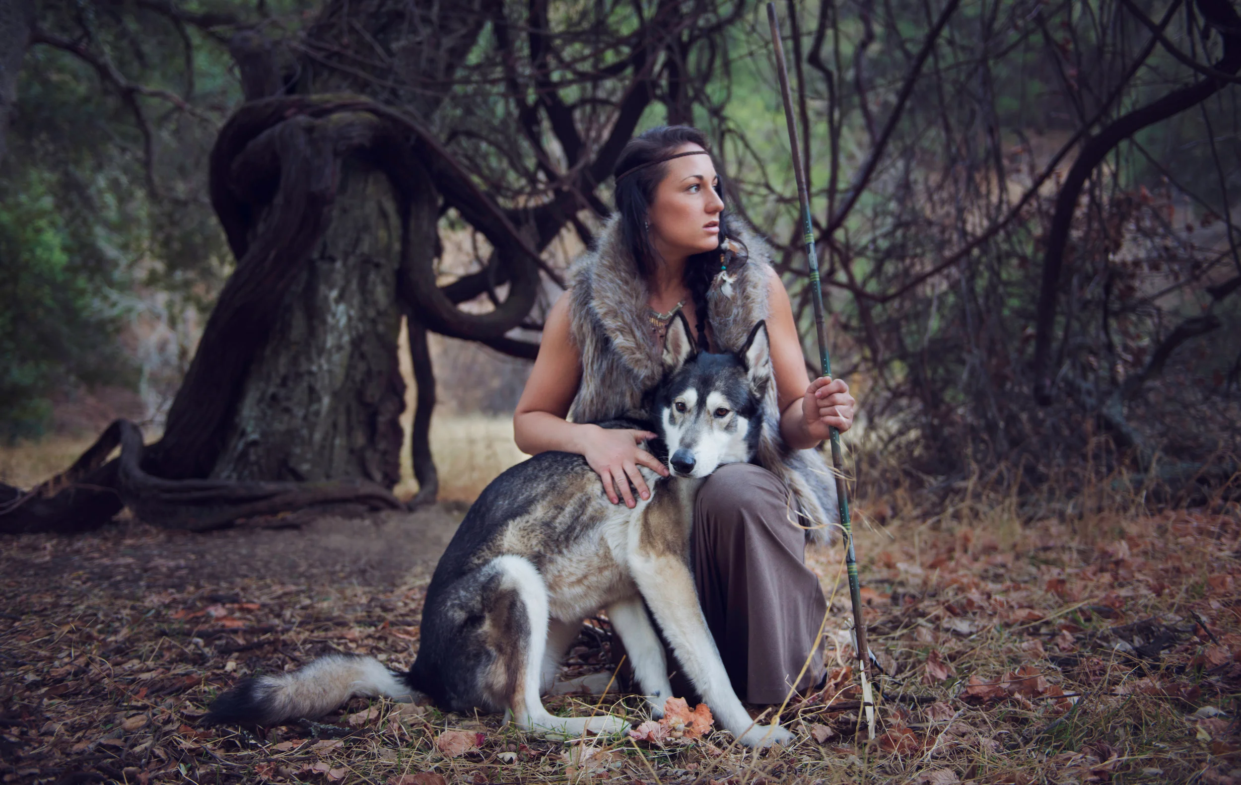 Locket the rescued dog // Rescue Tales // Ashley Petersen Photography