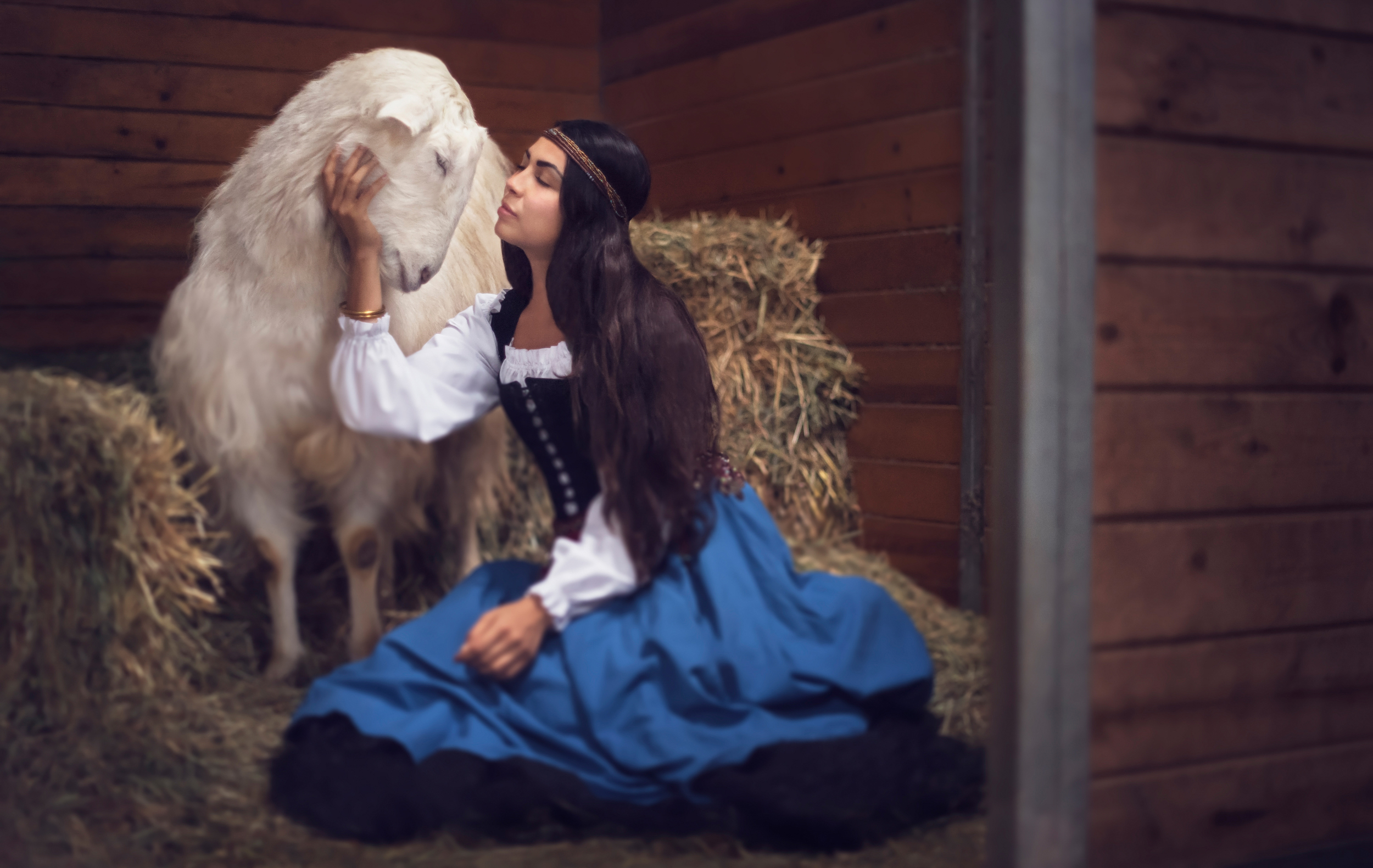 Sundance the rescue goat // Rescue Tales // Ashley Petersen Photography