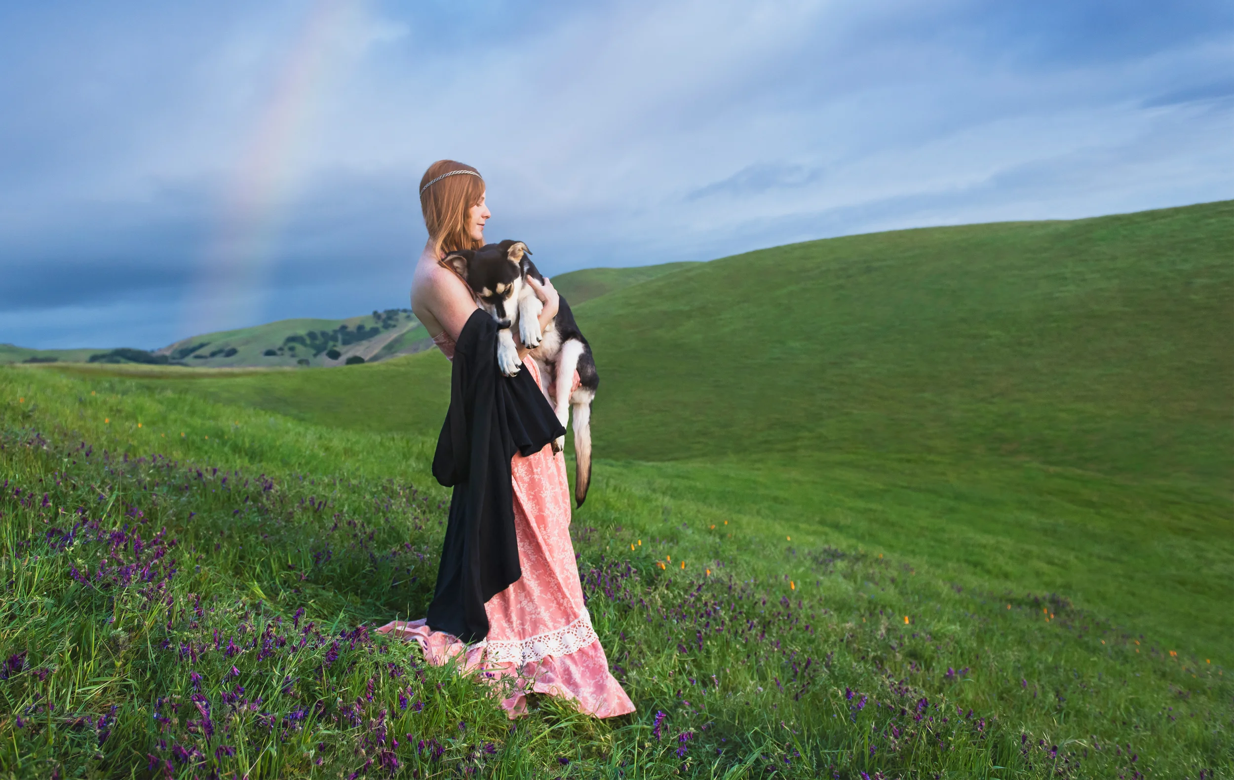 Mojo the rescued dog // Rescue Tales // Ashley Petersen Photography