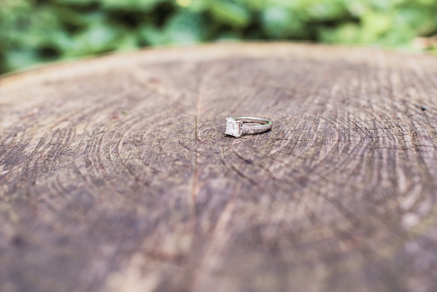 San Francisco Engagement // Ashley Petersen Photography