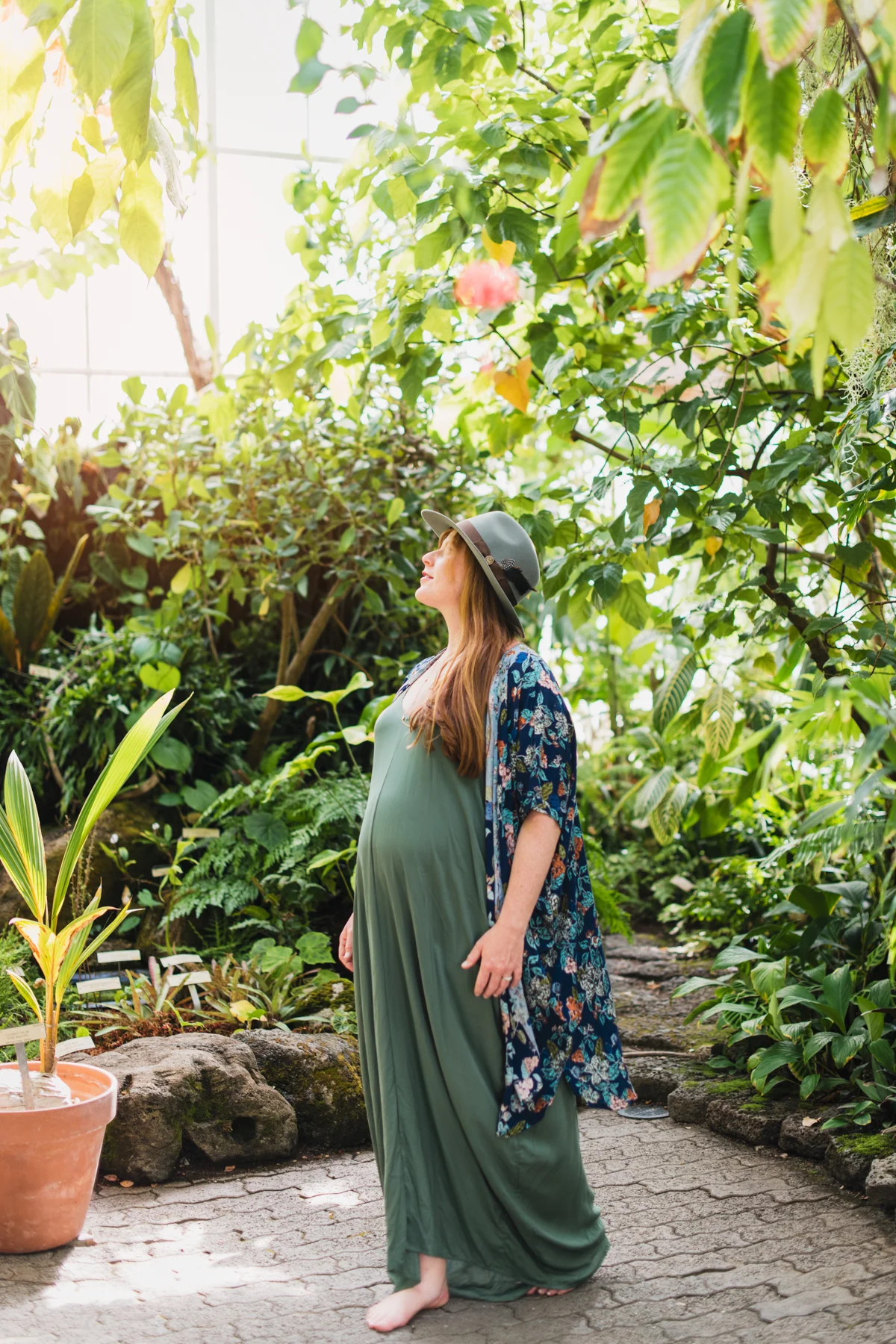 Maternity in Greenhouse of UC Botanical Gardens