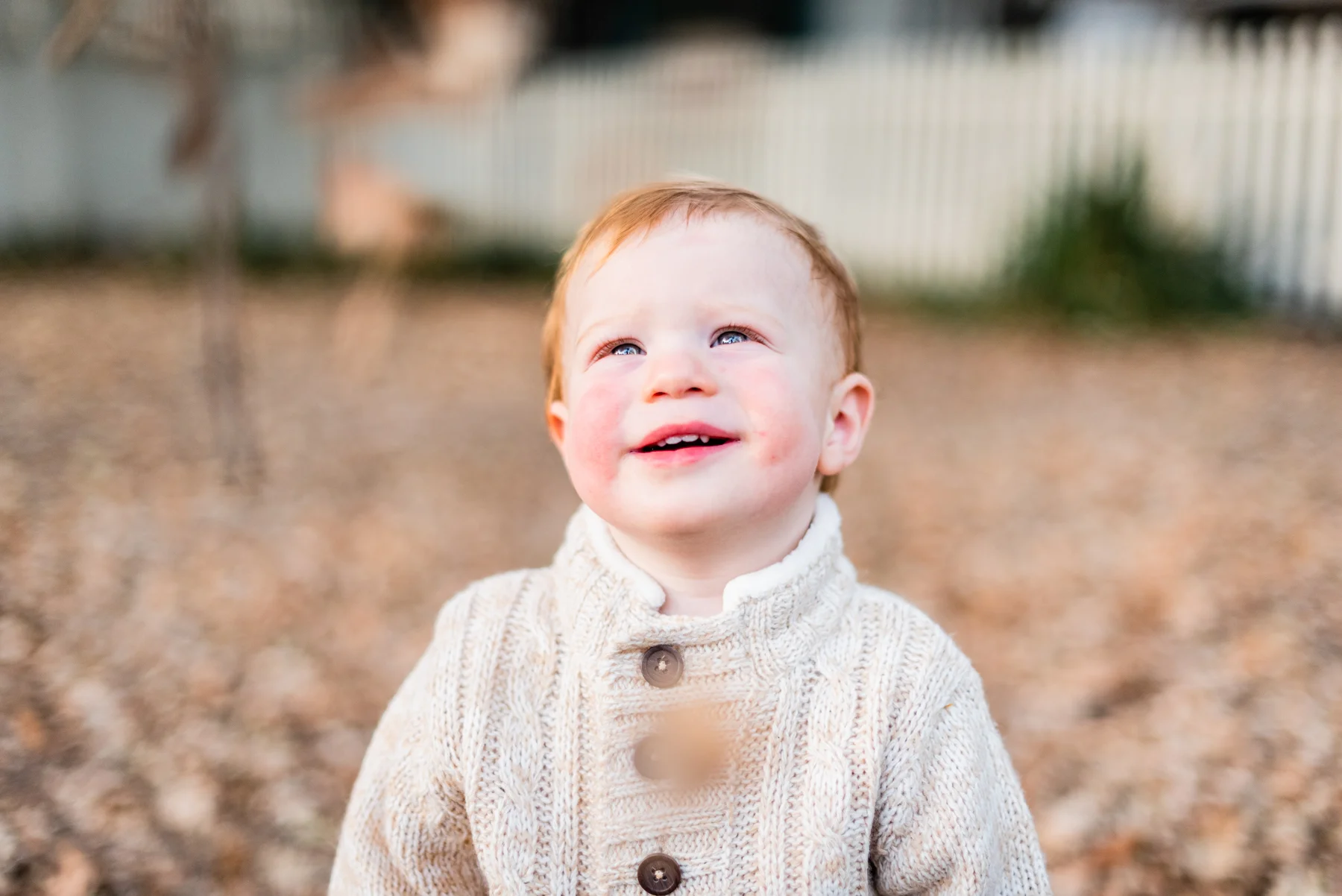 Toddler Portrait at Hap Magee Park