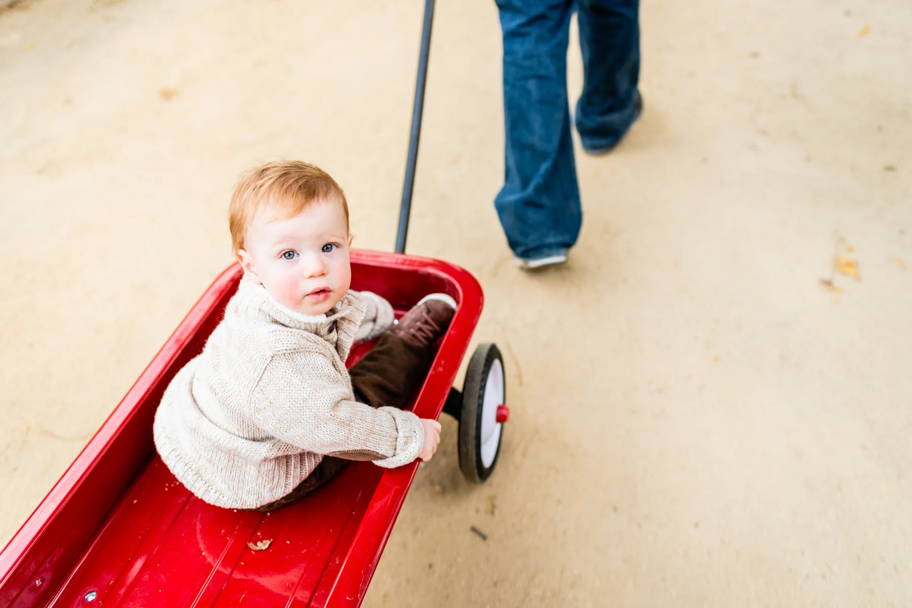 Toddler portrait at Hap Magee Park in Danville, CA.