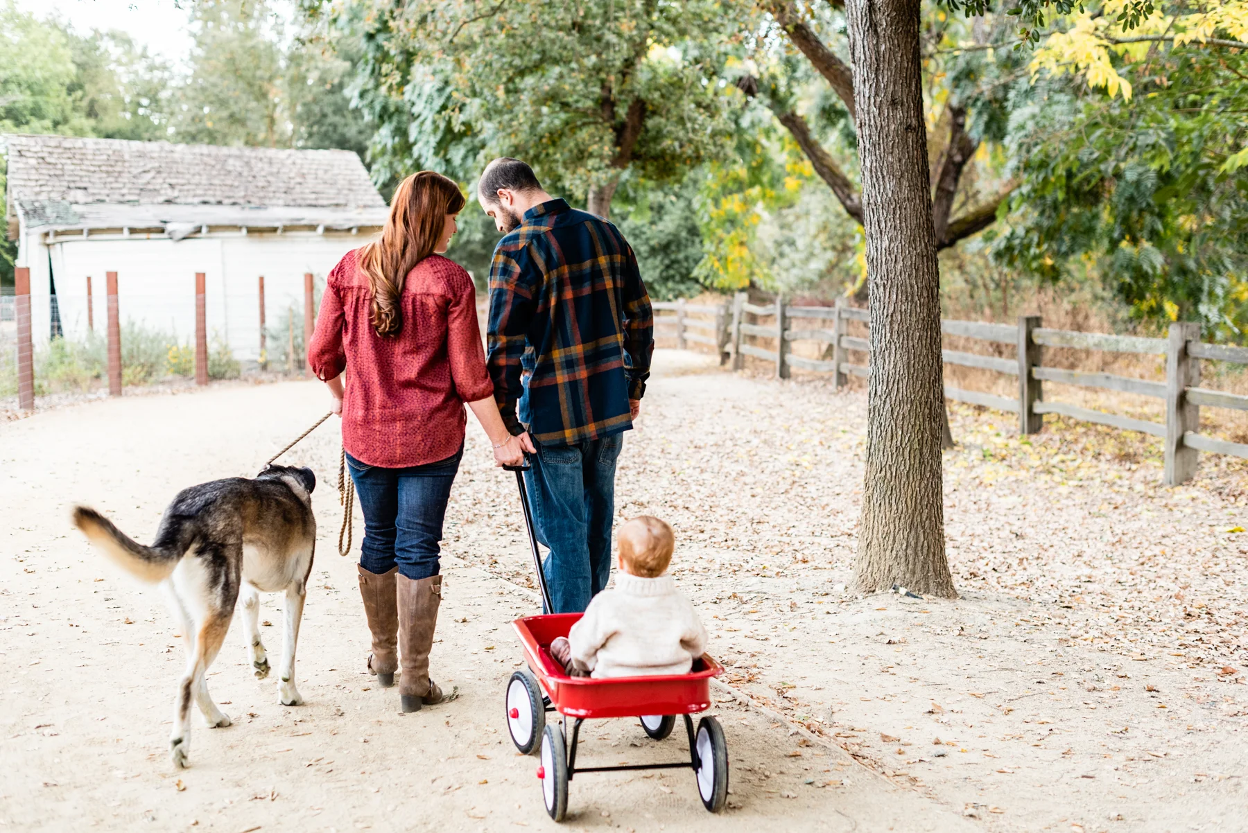 Family lifestyle portrait in Danville, CA.