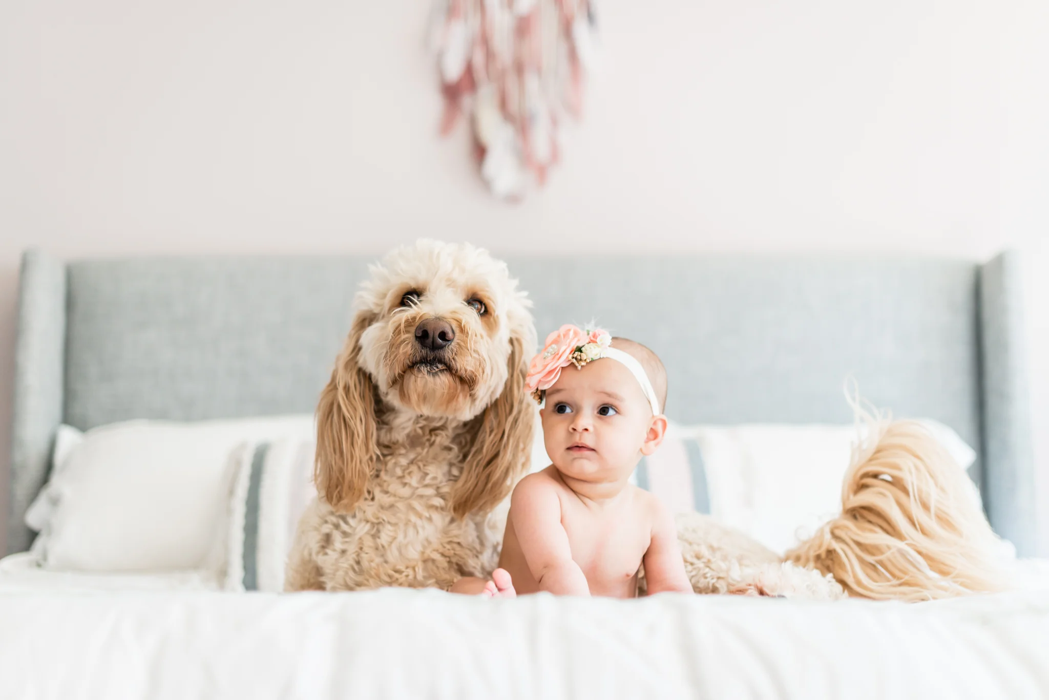 Baby girl and her puppy at the family lifestyle shoot