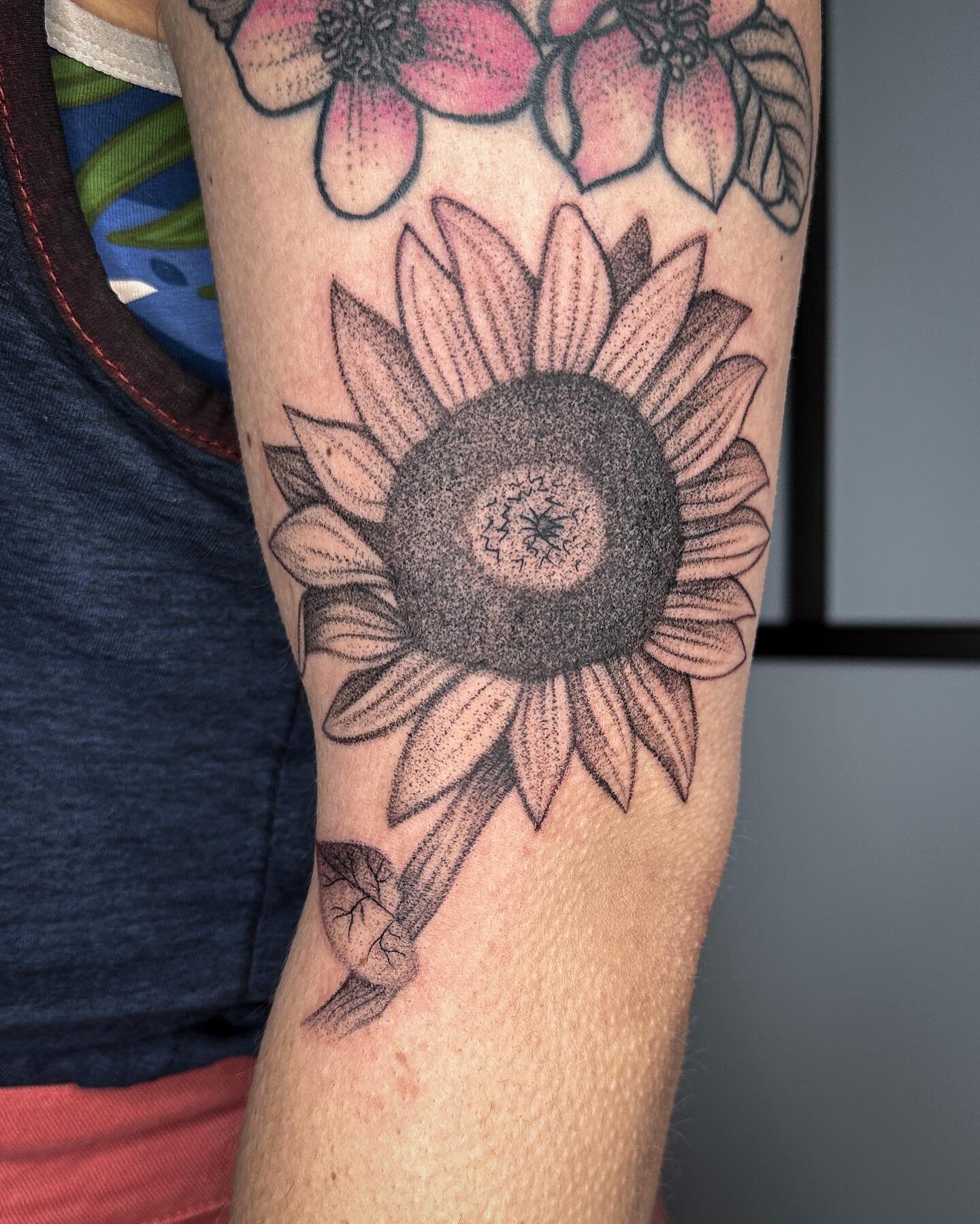 Sunflower below a healed piece from last year&hellip; &ldquo;in honor of Sunflower Sutra by Allen Ginsberg, one of my favorite poems.&rdquo;