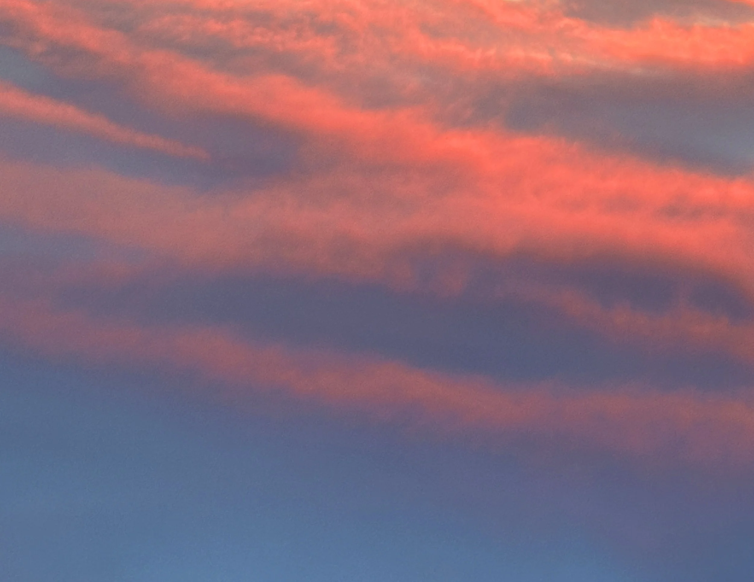 sunset.jpg