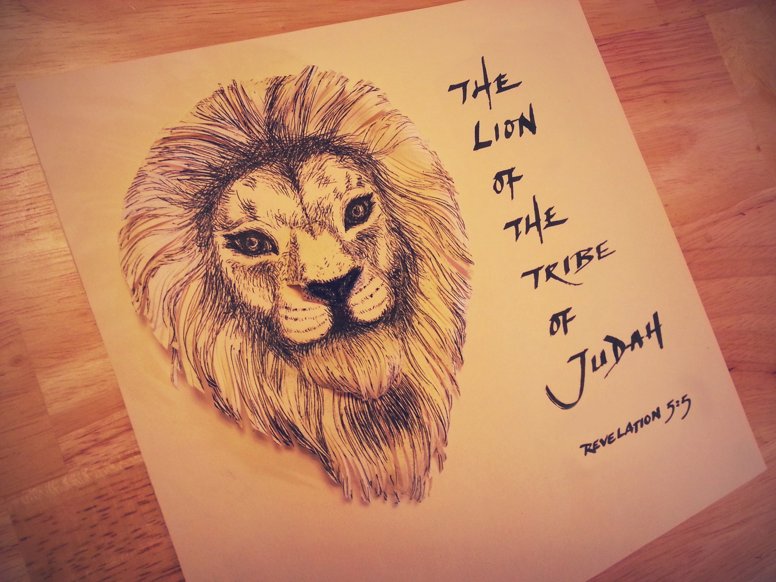  He is the Lion of the Tribe of Judah. 