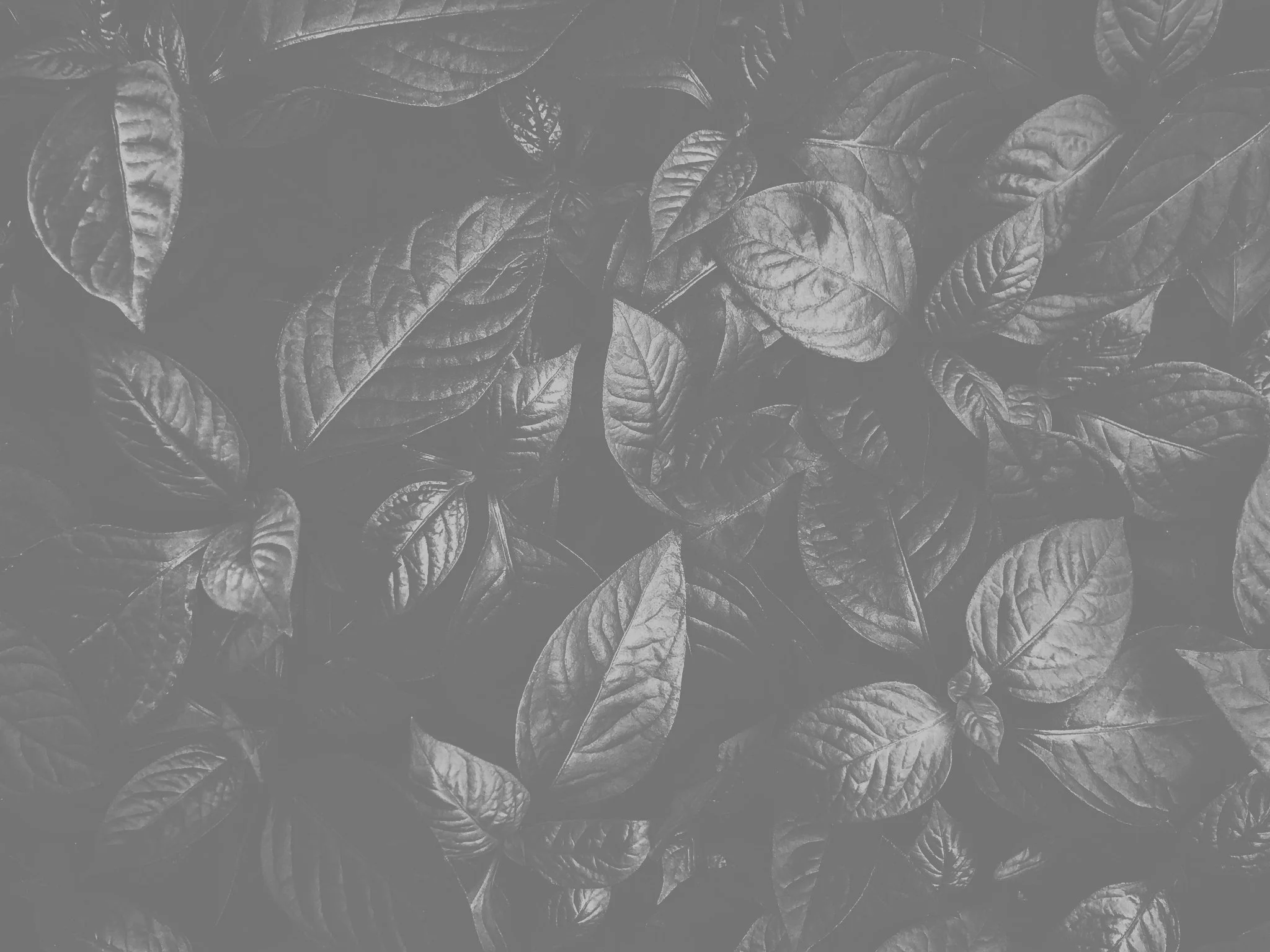 The Story Behind Scripture-Based Healing Declarations