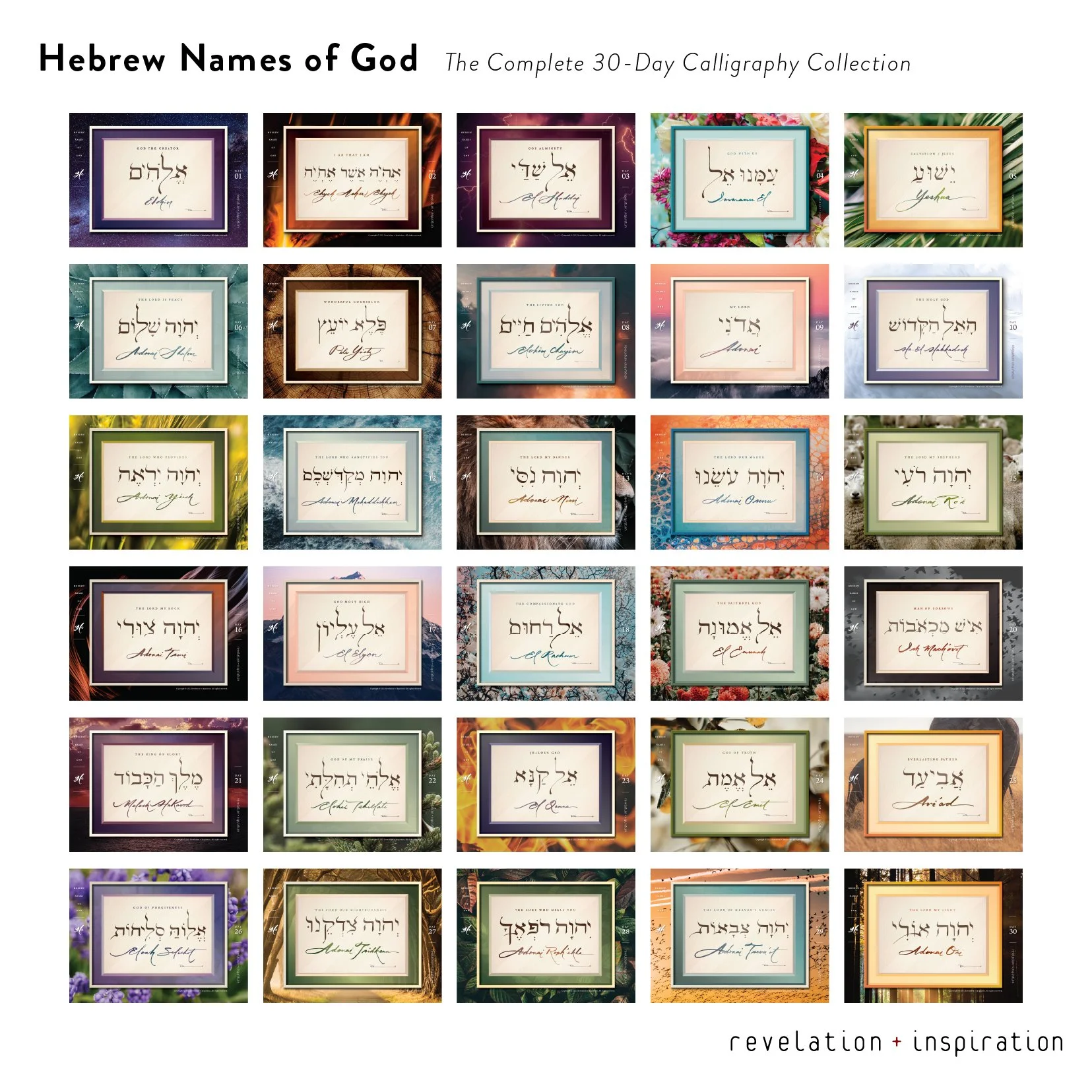 HE-31. All 30 Pieces (Bundled)