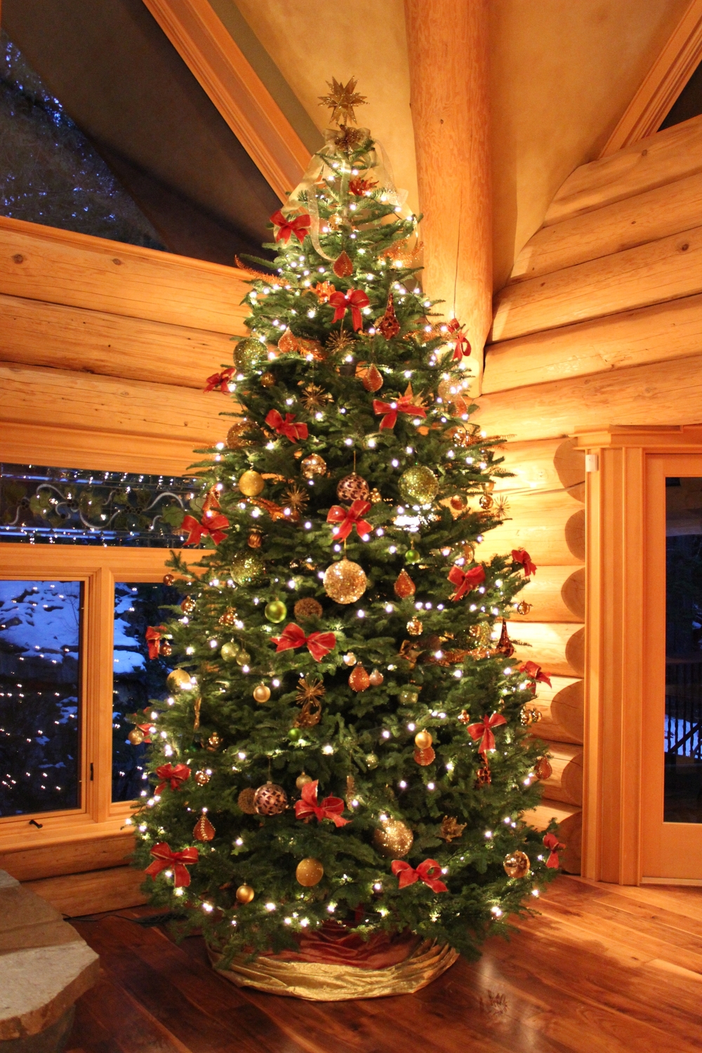 CHRISTMAS TREES RENTAL (ALMOST SOLD OUT, pls contact ...