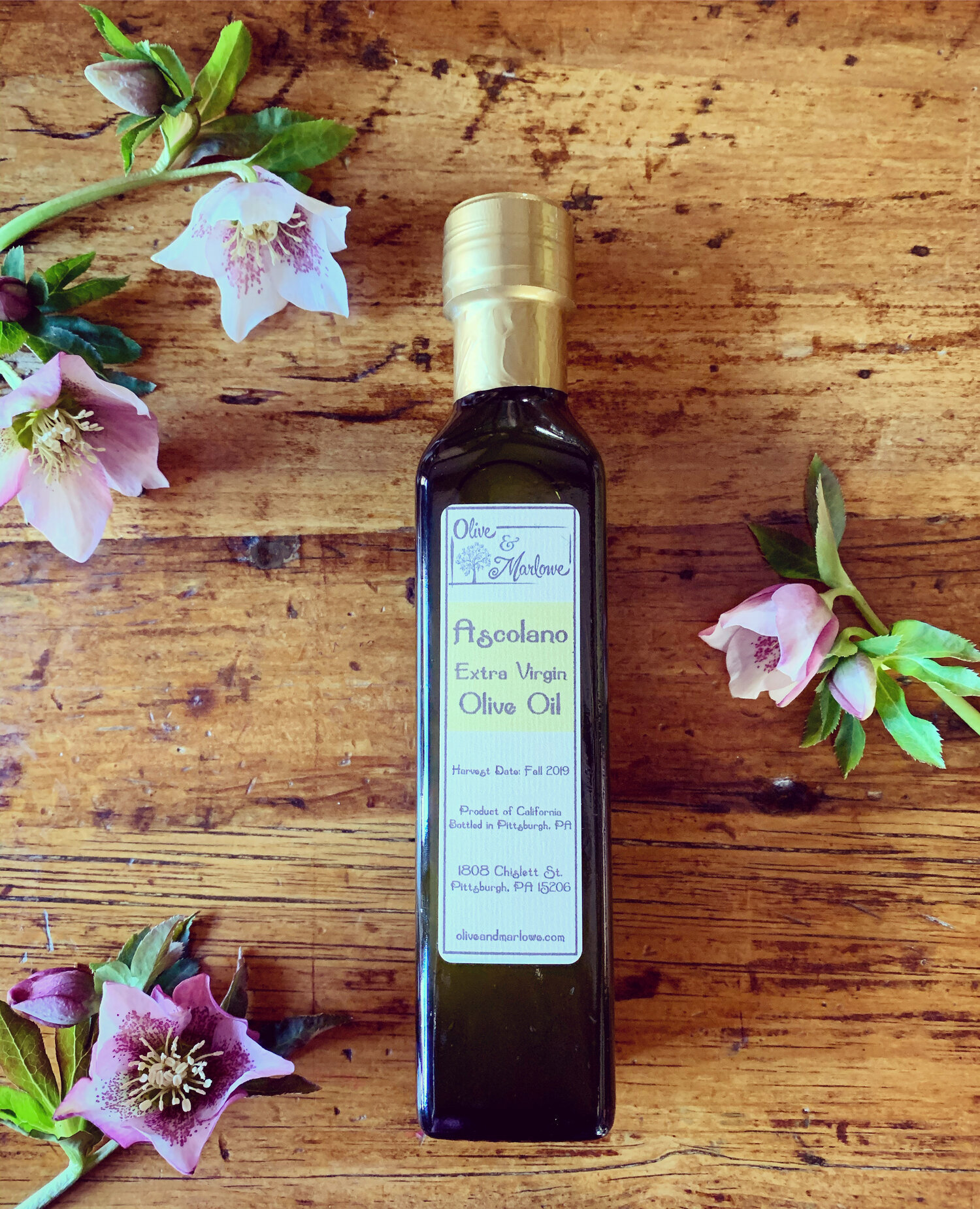 Ascolano Extra Virgin Olive Oil - Best of Show and 5-Time Gold Medal Winner