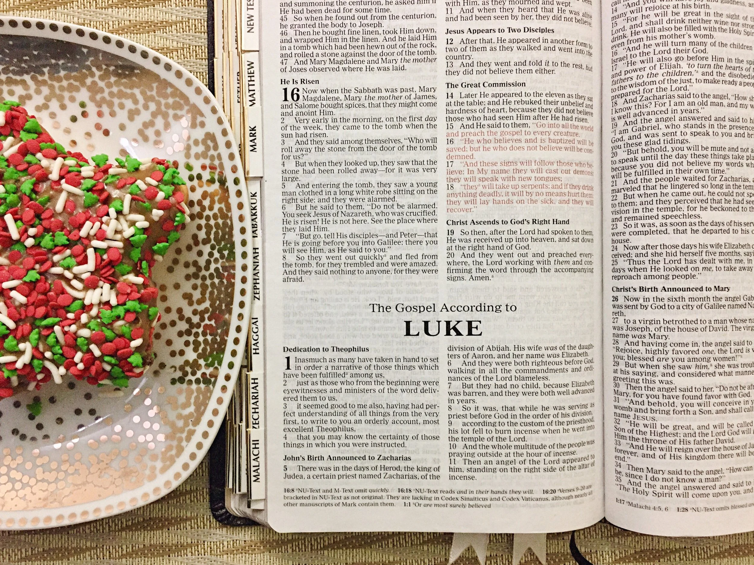 Don't Forget Christmas // Faithfully Honest