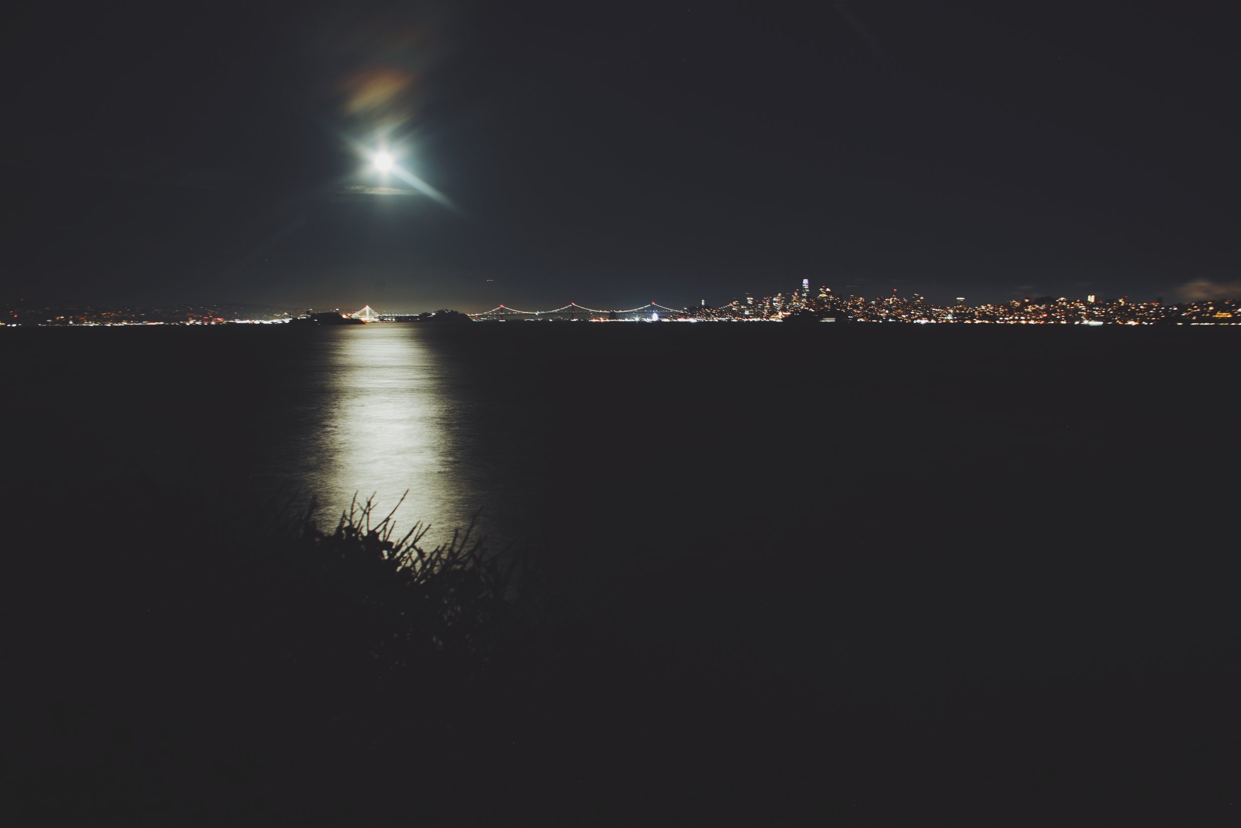 Nighttime cityscape across water with bright moon and moonlight reflection on the water, silhouette of plants in foreground.
