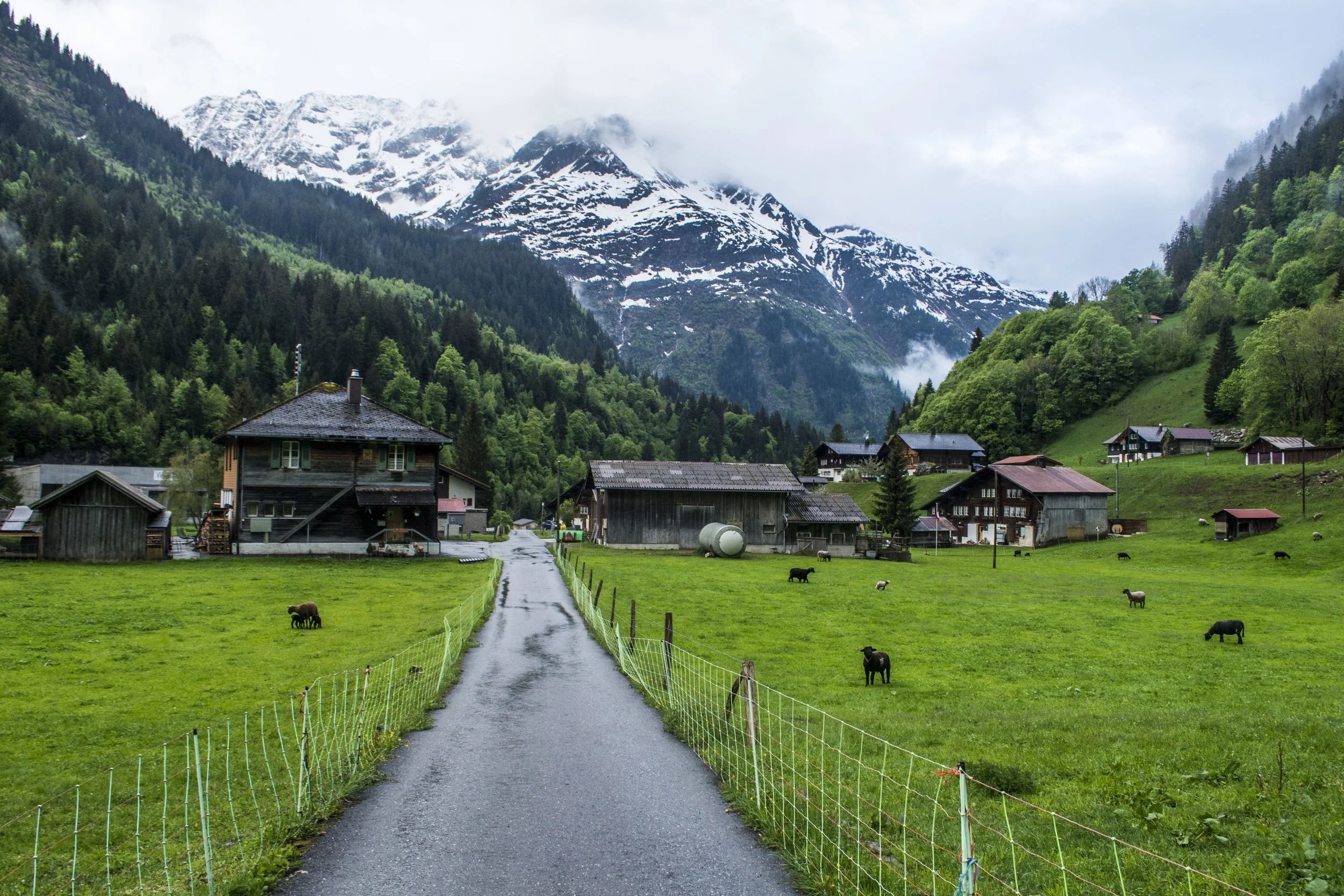 Kaeppeli 2_DSC7961.JPG