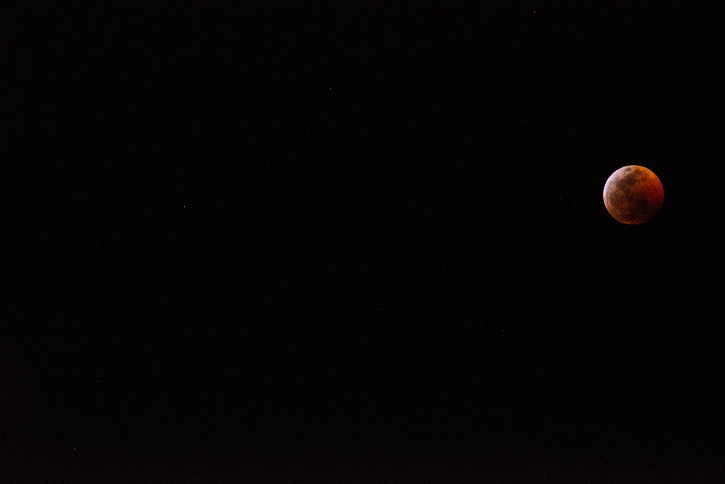 Joshua A. Berman - Blood Moon _DSC6049.JPG