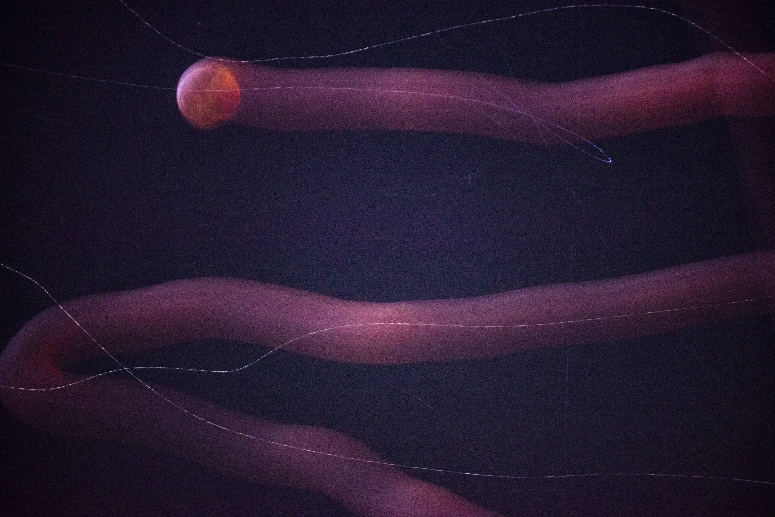 Moon Eclipse Light Writing_DSC6069.JPG