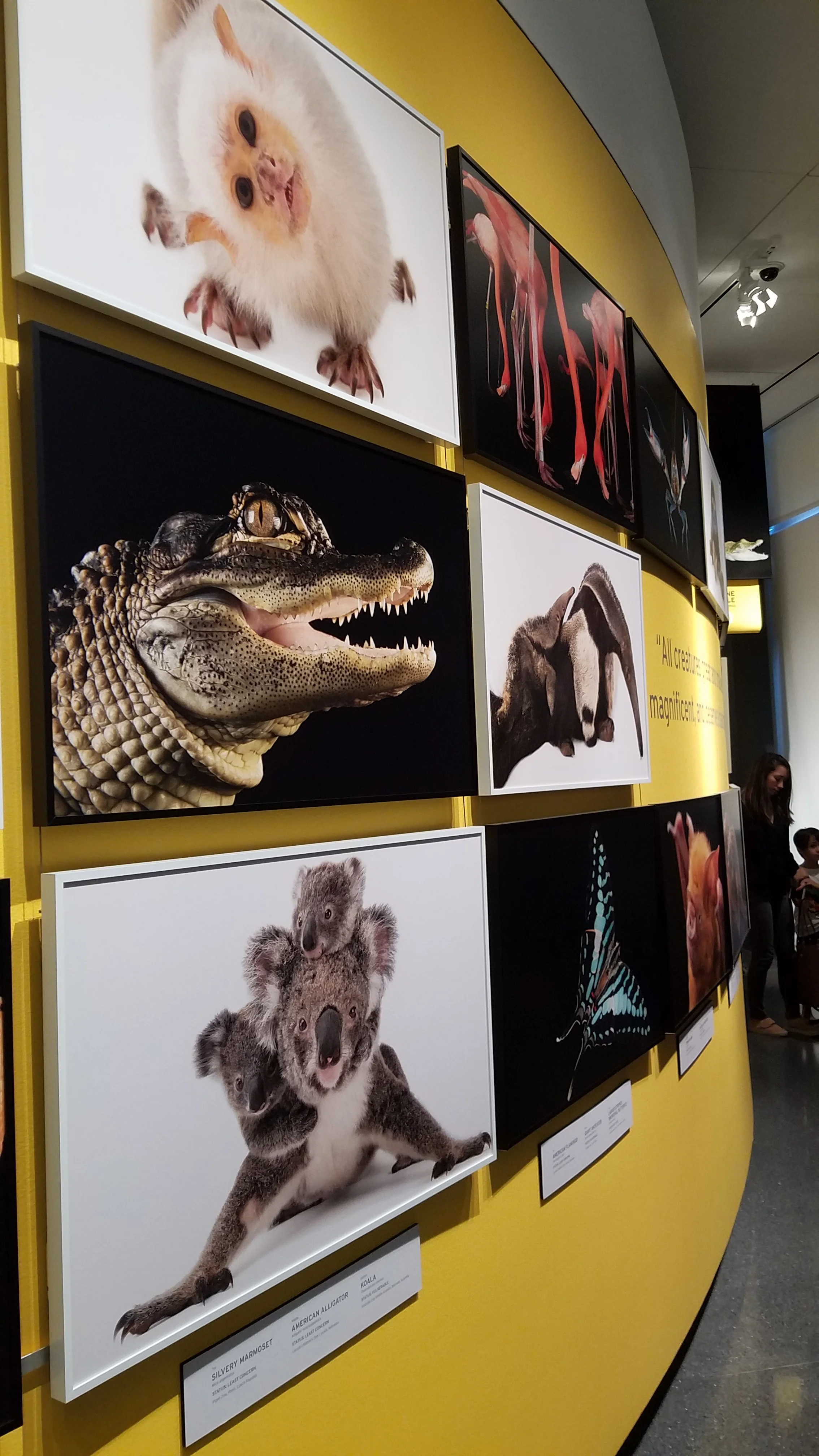 Photo Ark #1