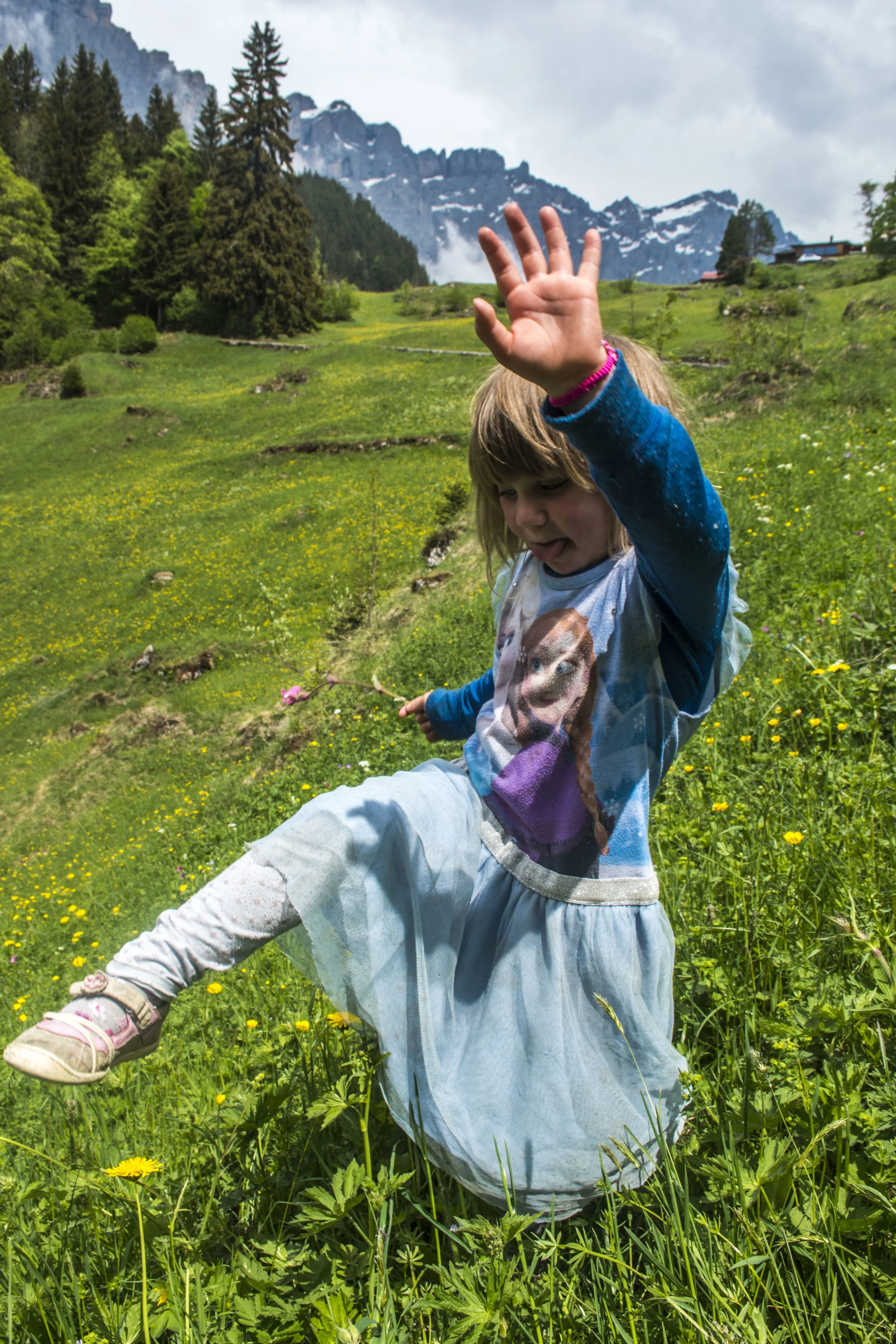 Tara in Wildflower Meadow - Gadmen, SwitzerlandTara in Wildflower Meadow - Gadmen, Switzerland.JPG