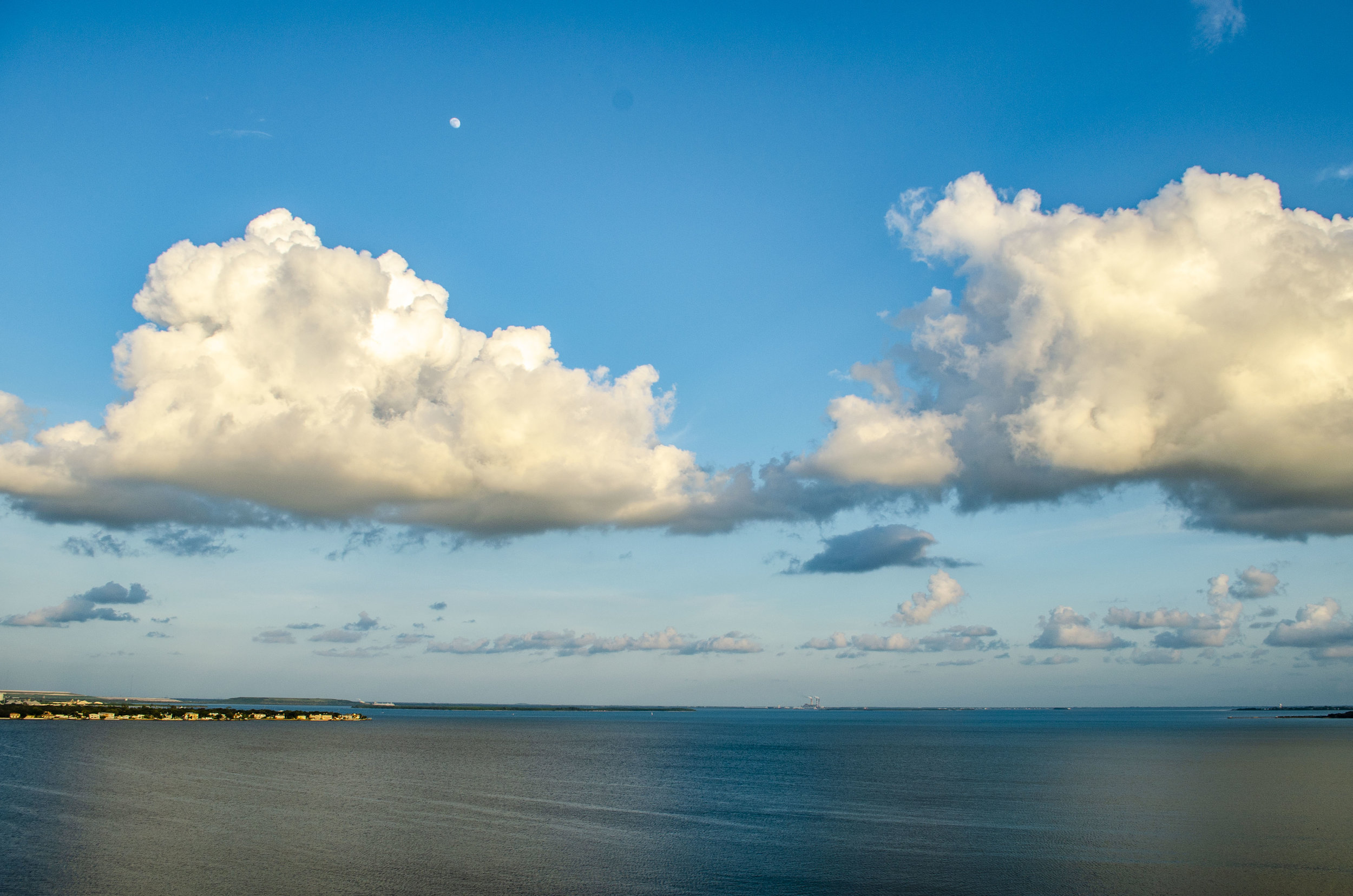 Tampa (Max's)DSC_0283.JPG