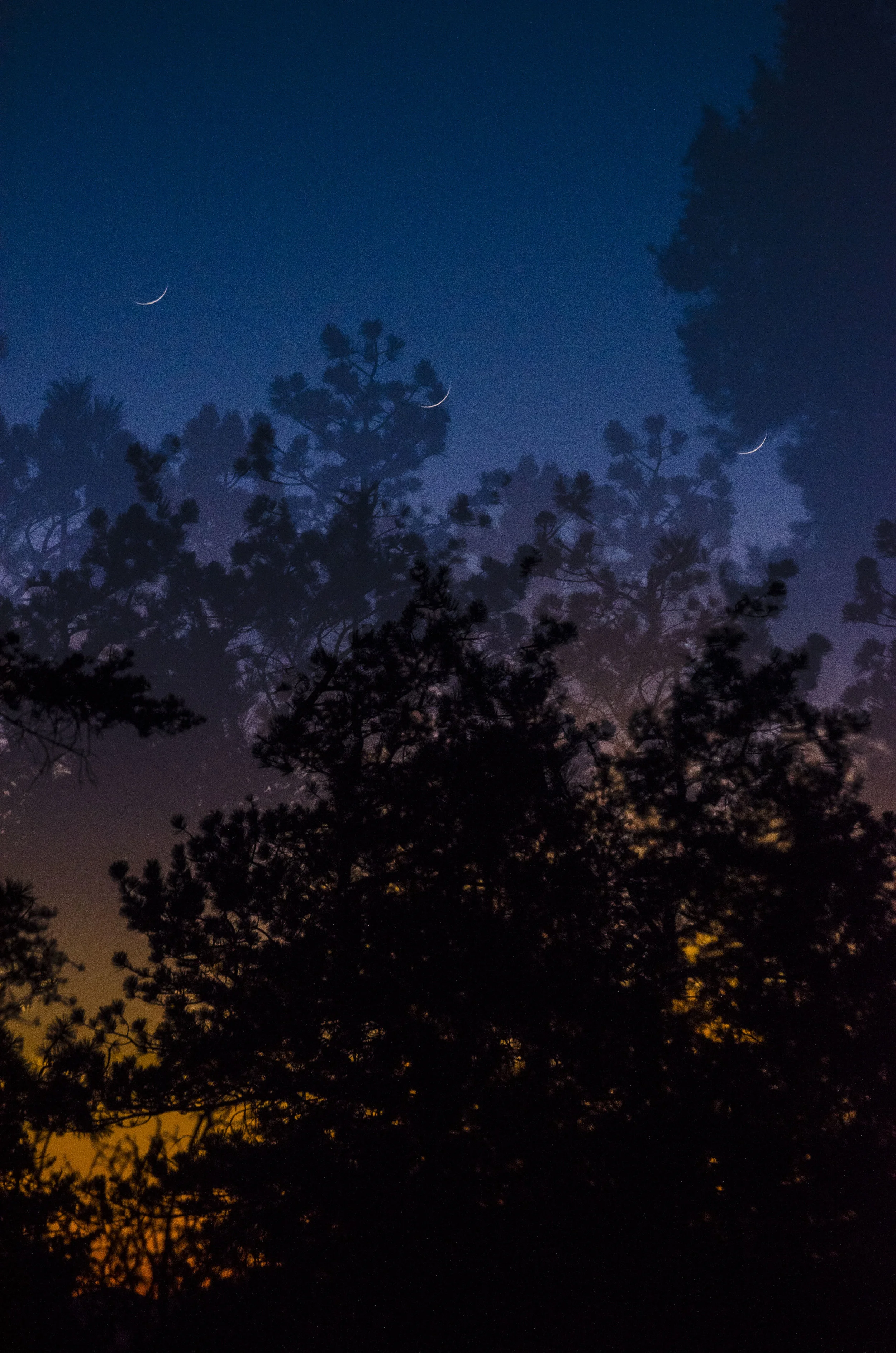 Multi Crescent Moons & Ponderosa SunsetsDSC_0341.JPG